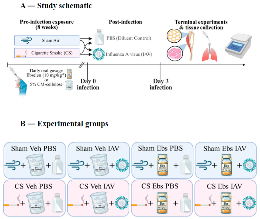 Preprints 232031 g001