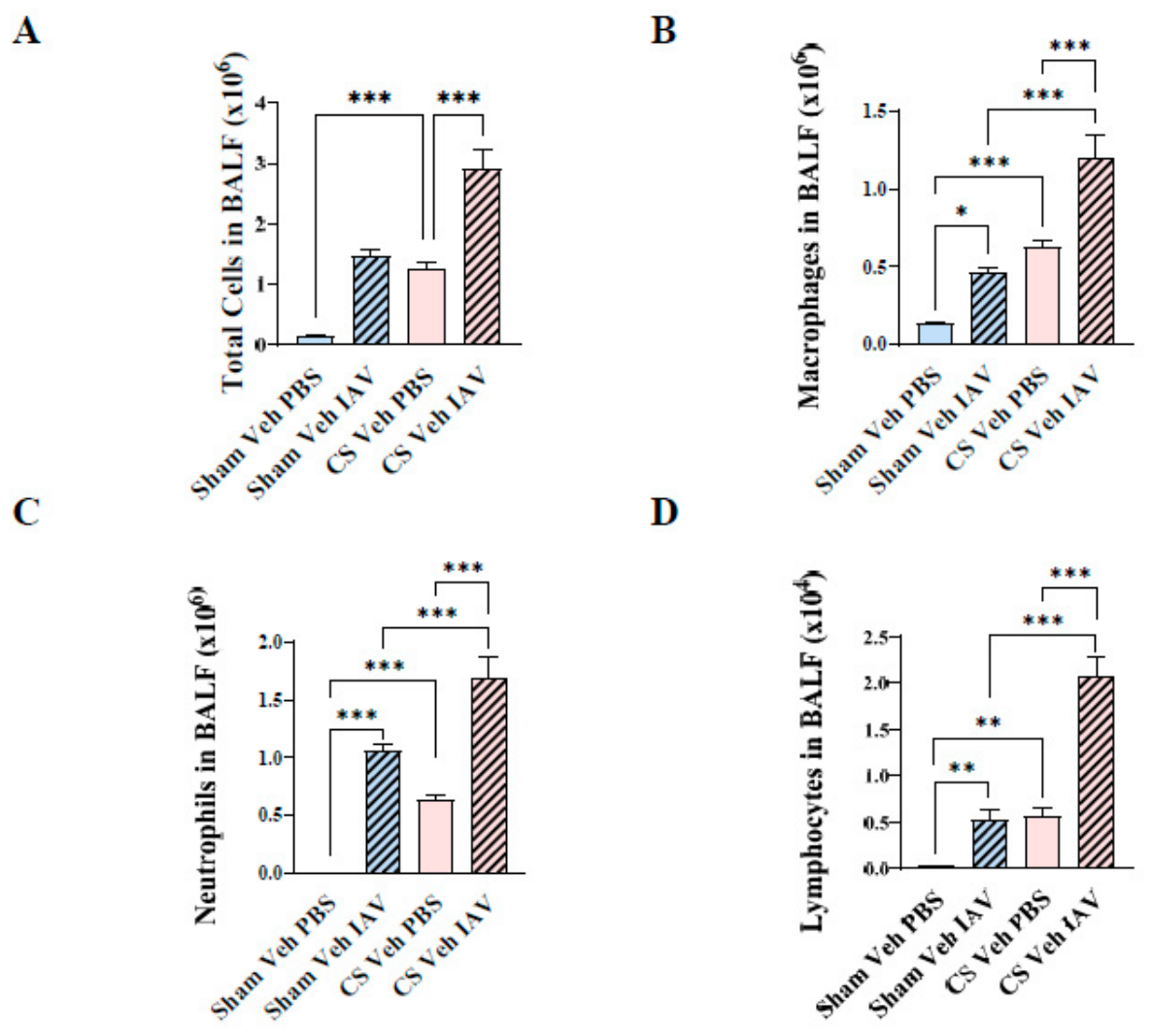 Preprints 232031 g002