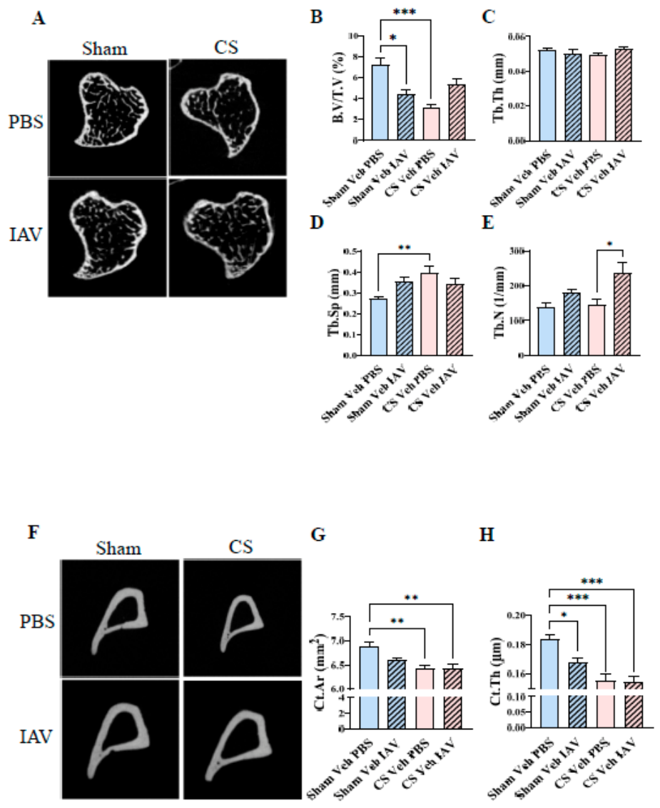 Preprints 232031 g003
