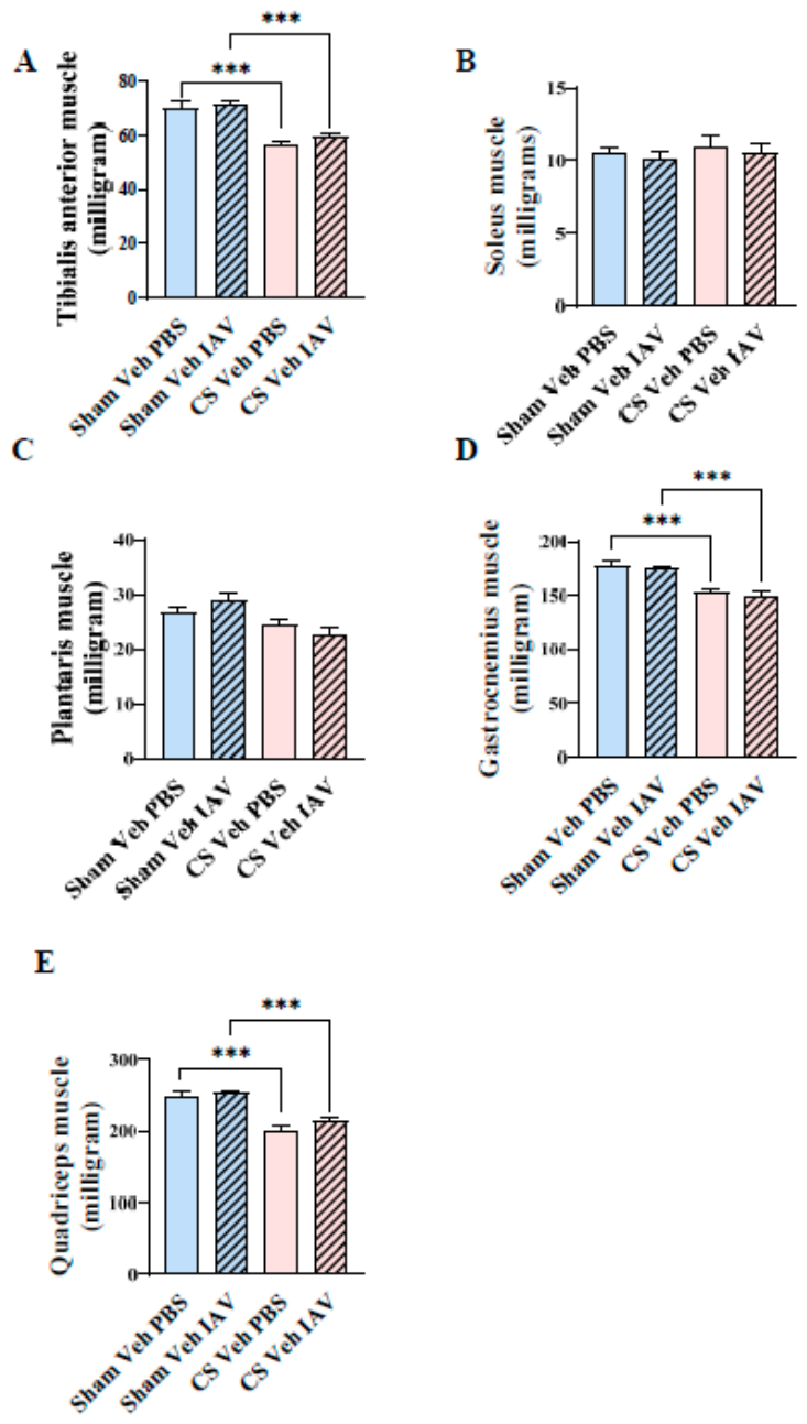 Preprints 232031 g004