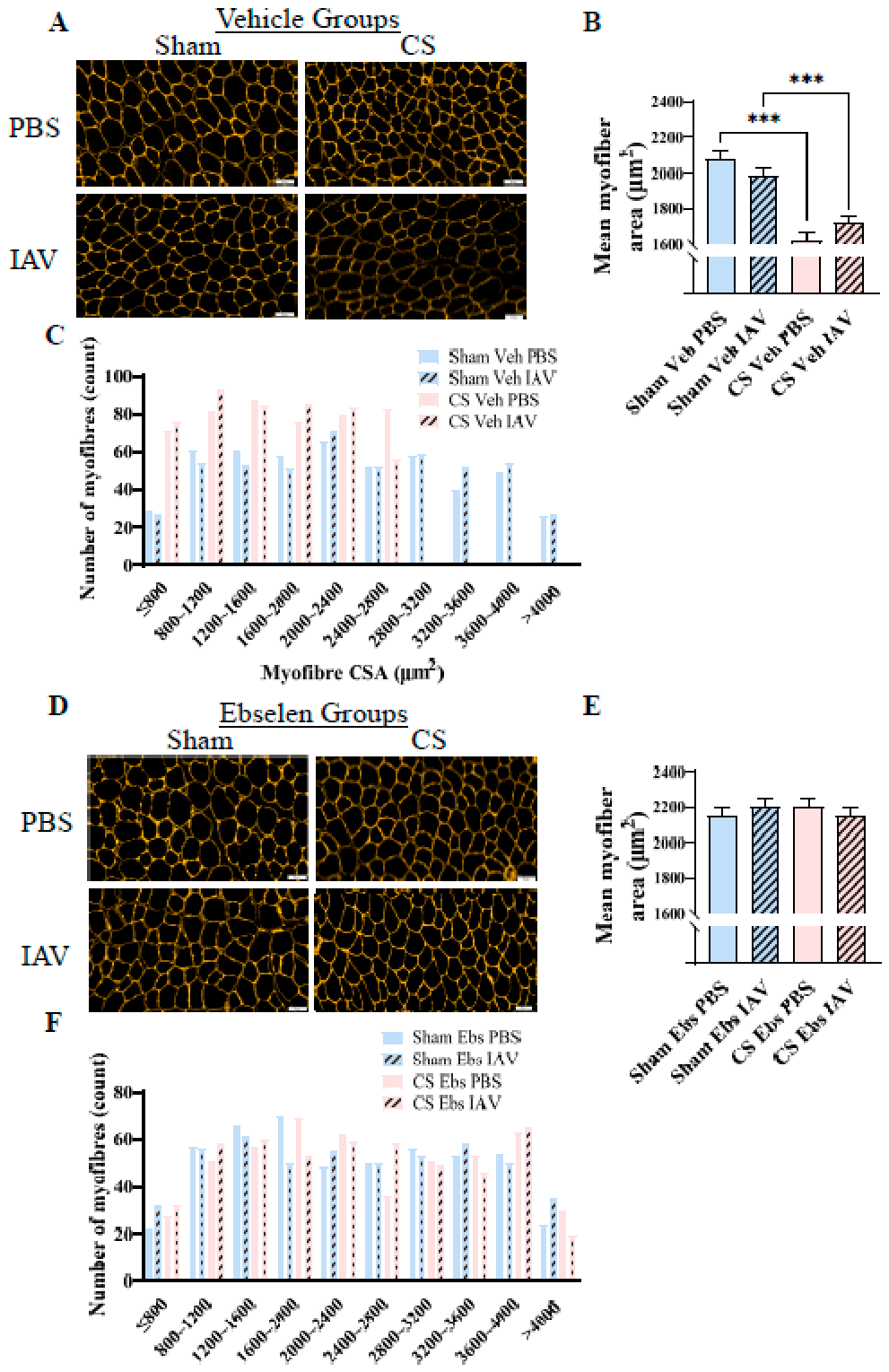 Preprints 232031 g006a