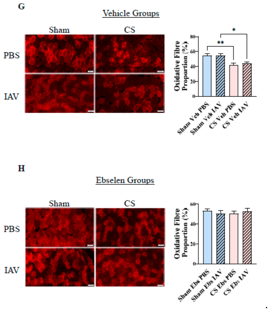 Preprints 232031 g006b
