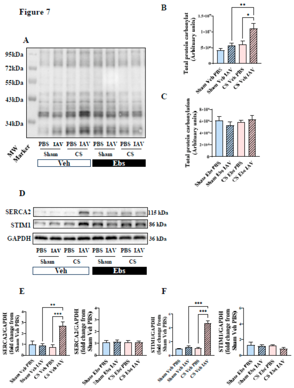 Preprints 232031 g007