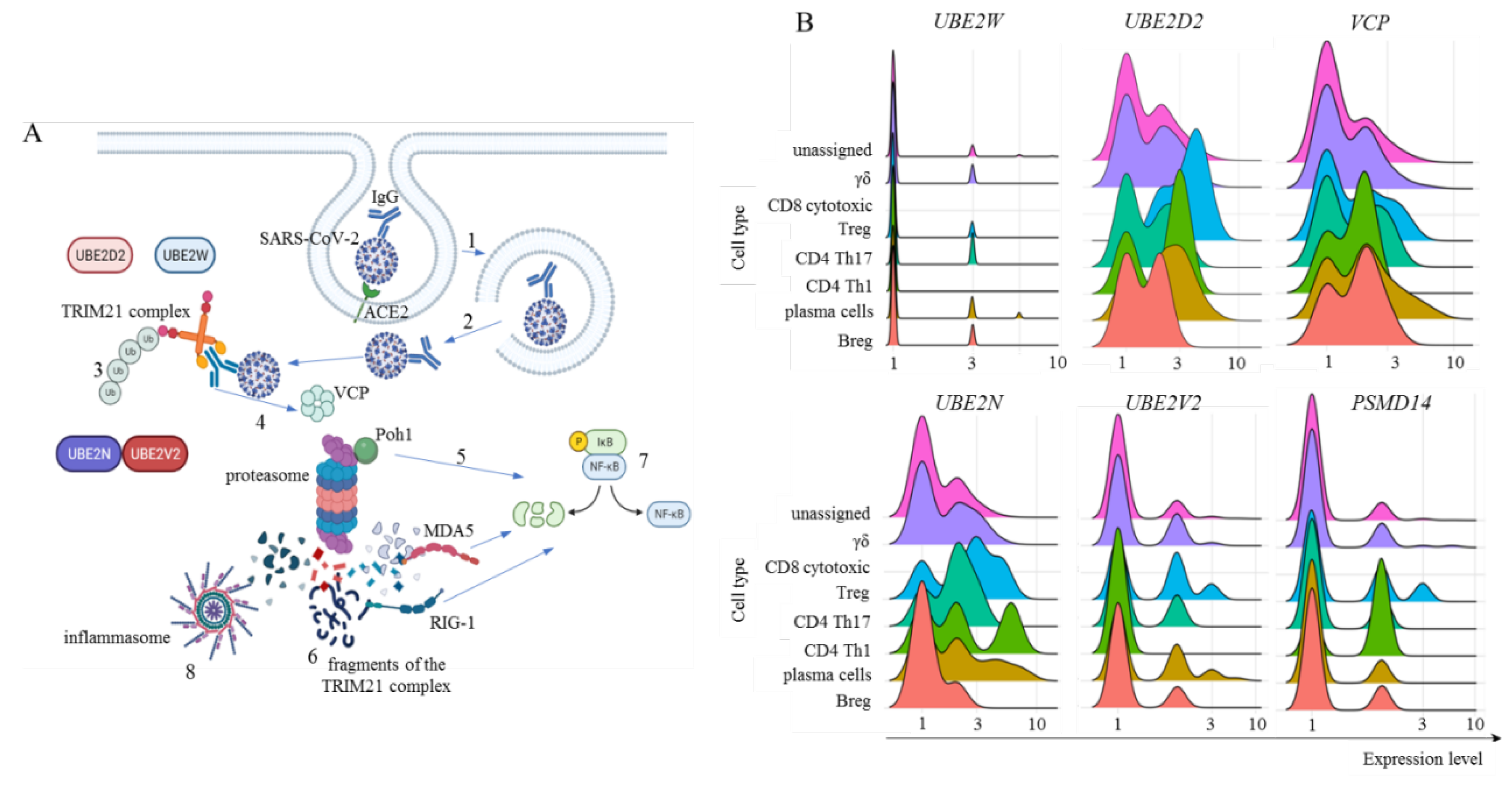 Preprints 139676 g005