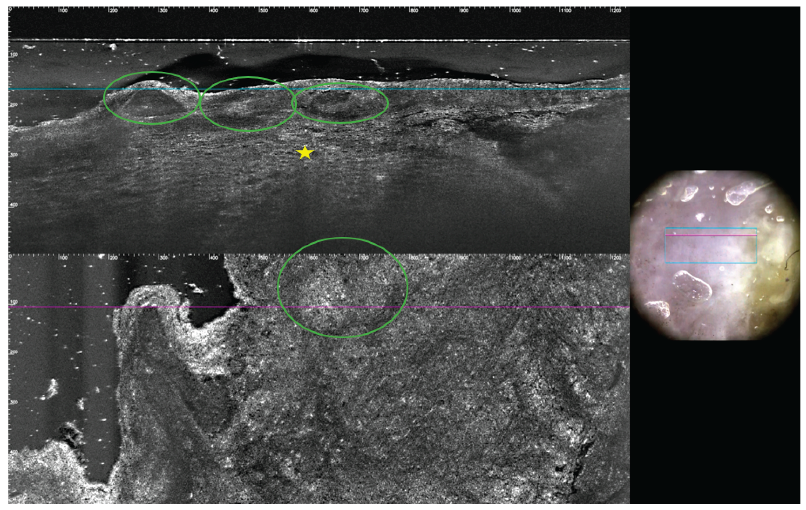 Preprints 161406 g004