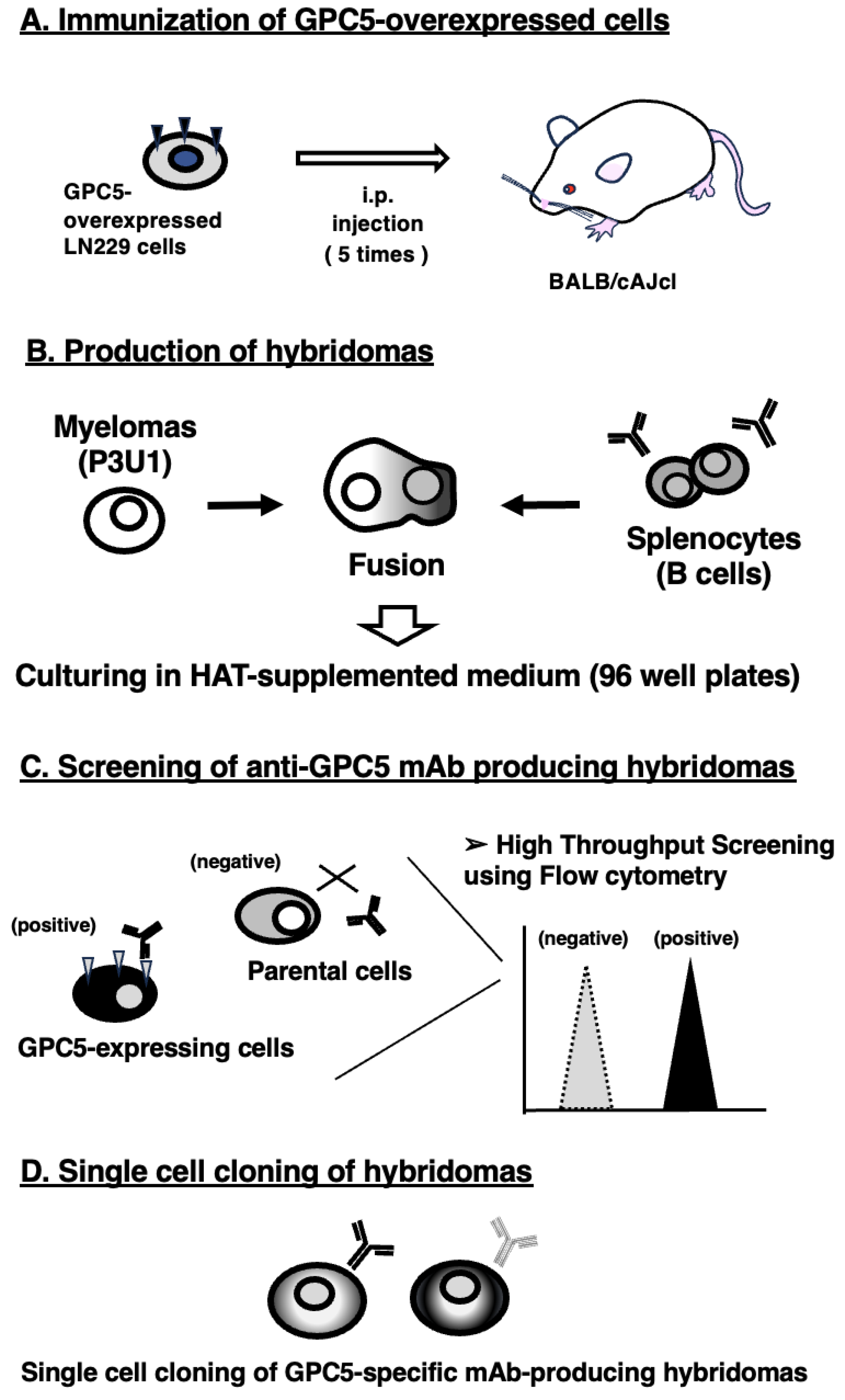 Preprints 147536 g001