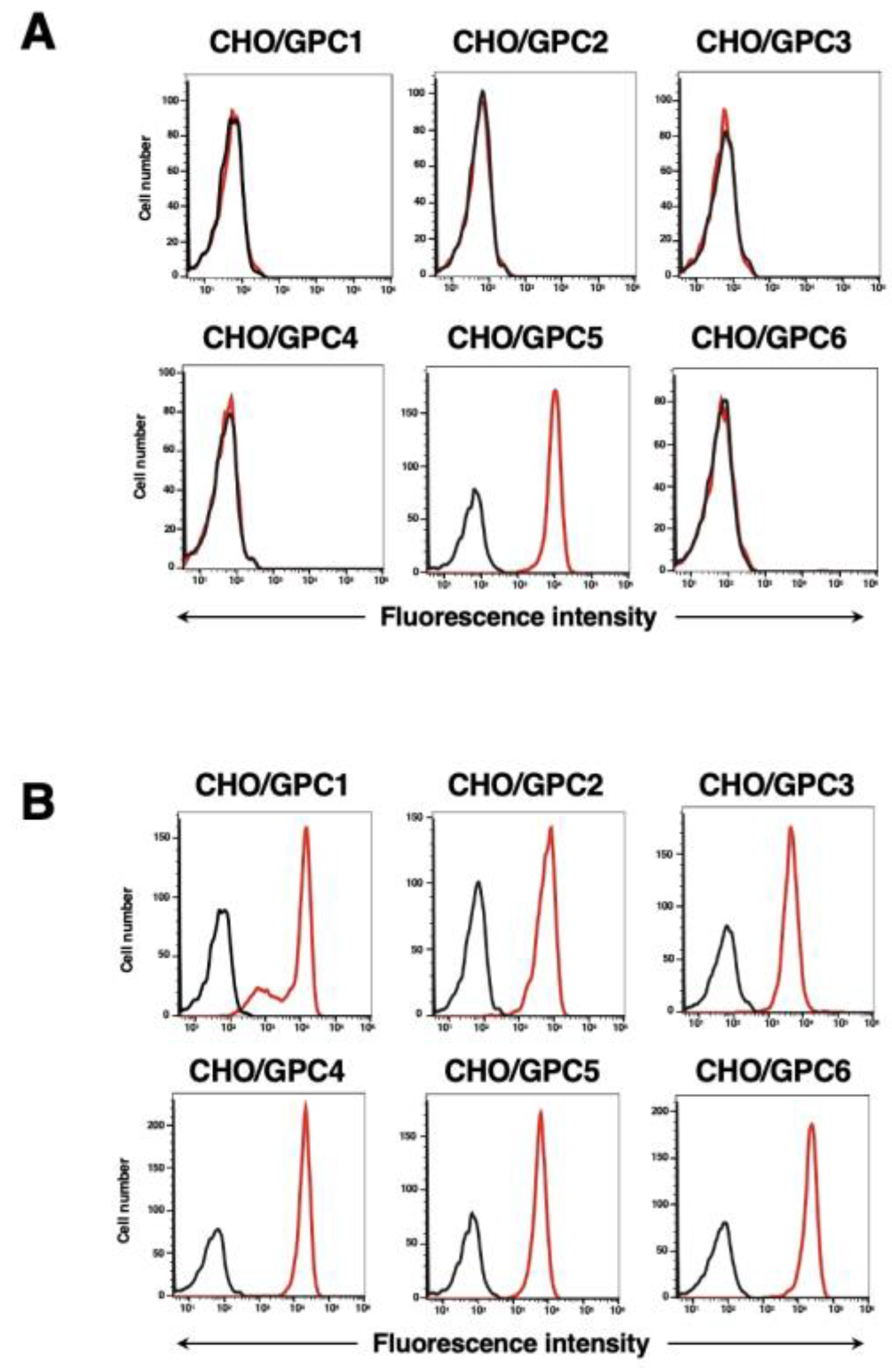 Preprints 147536 g003