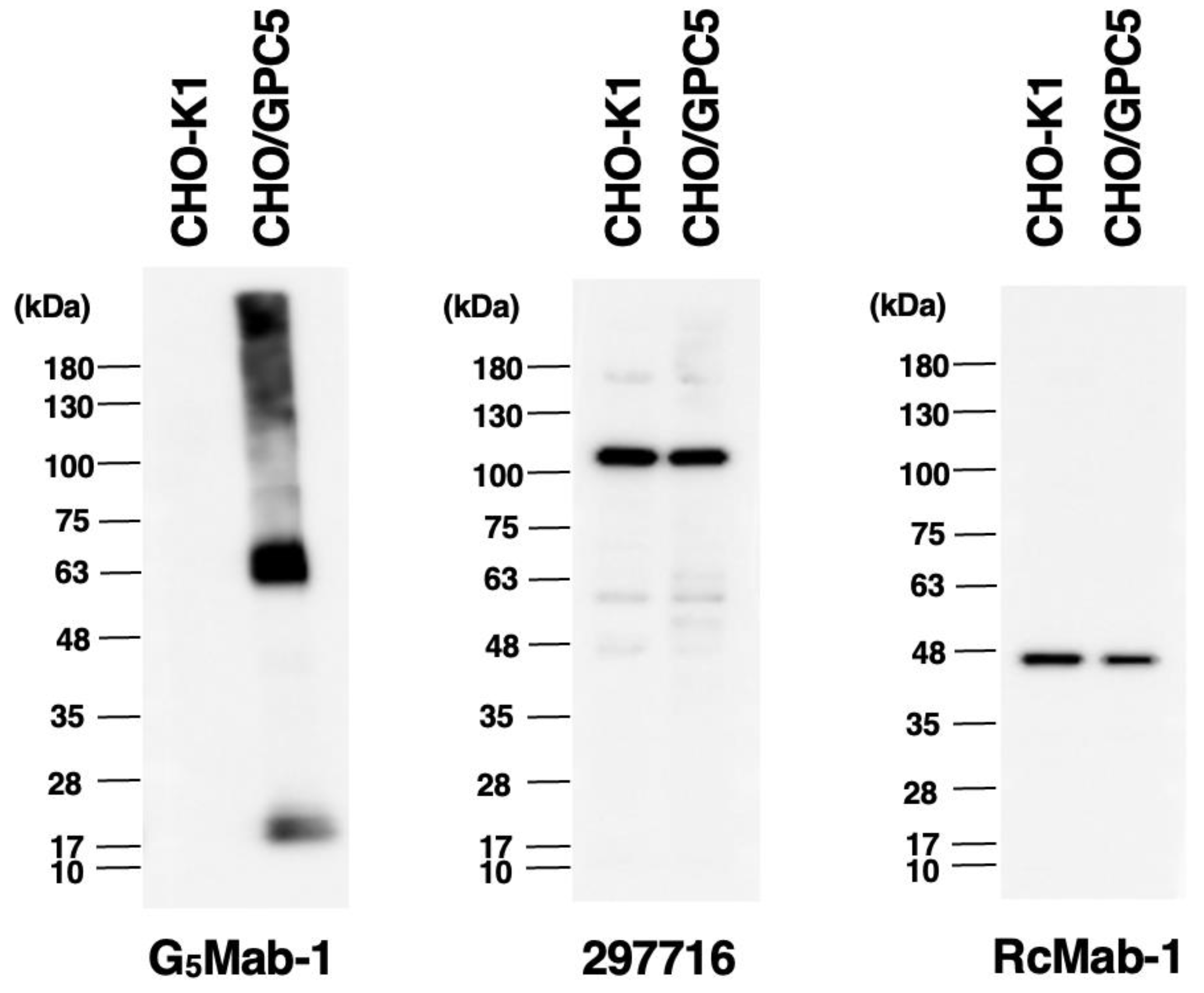 Preprints 147536 g005