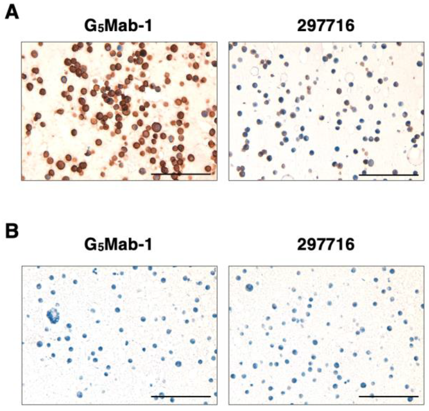 Preprints 147536 g006