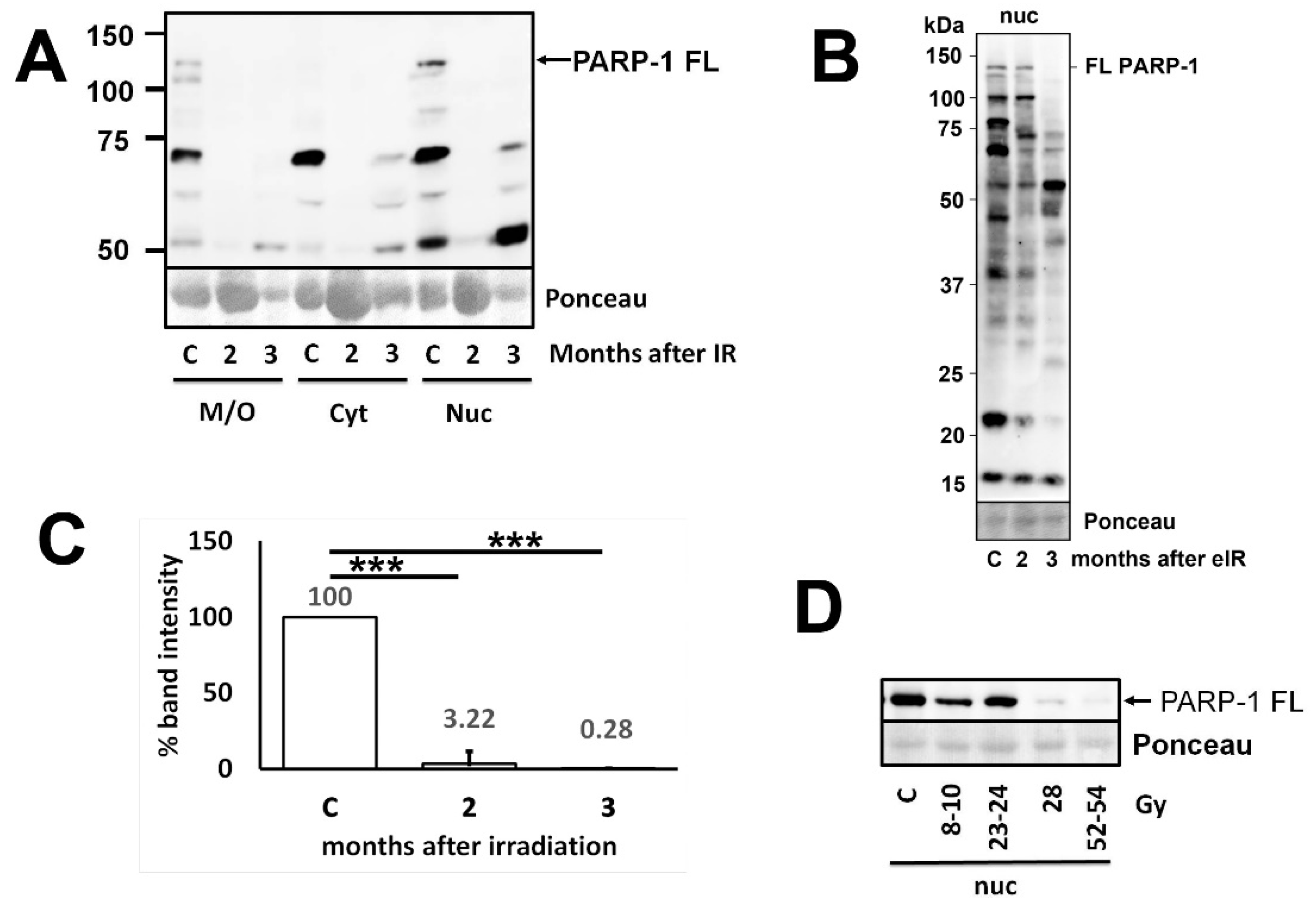 Preprints 116292 g001