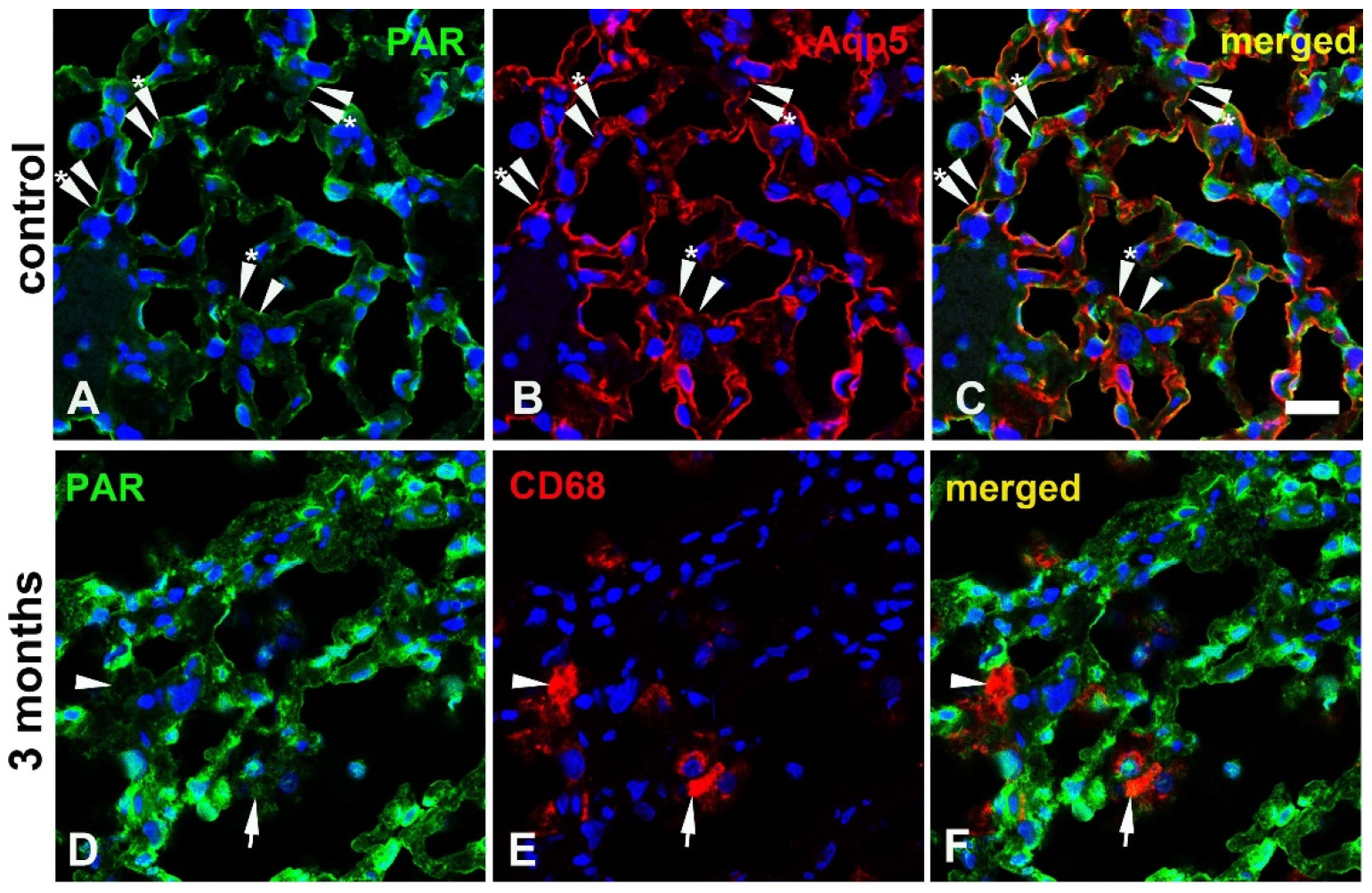 Preprints 116292 g007