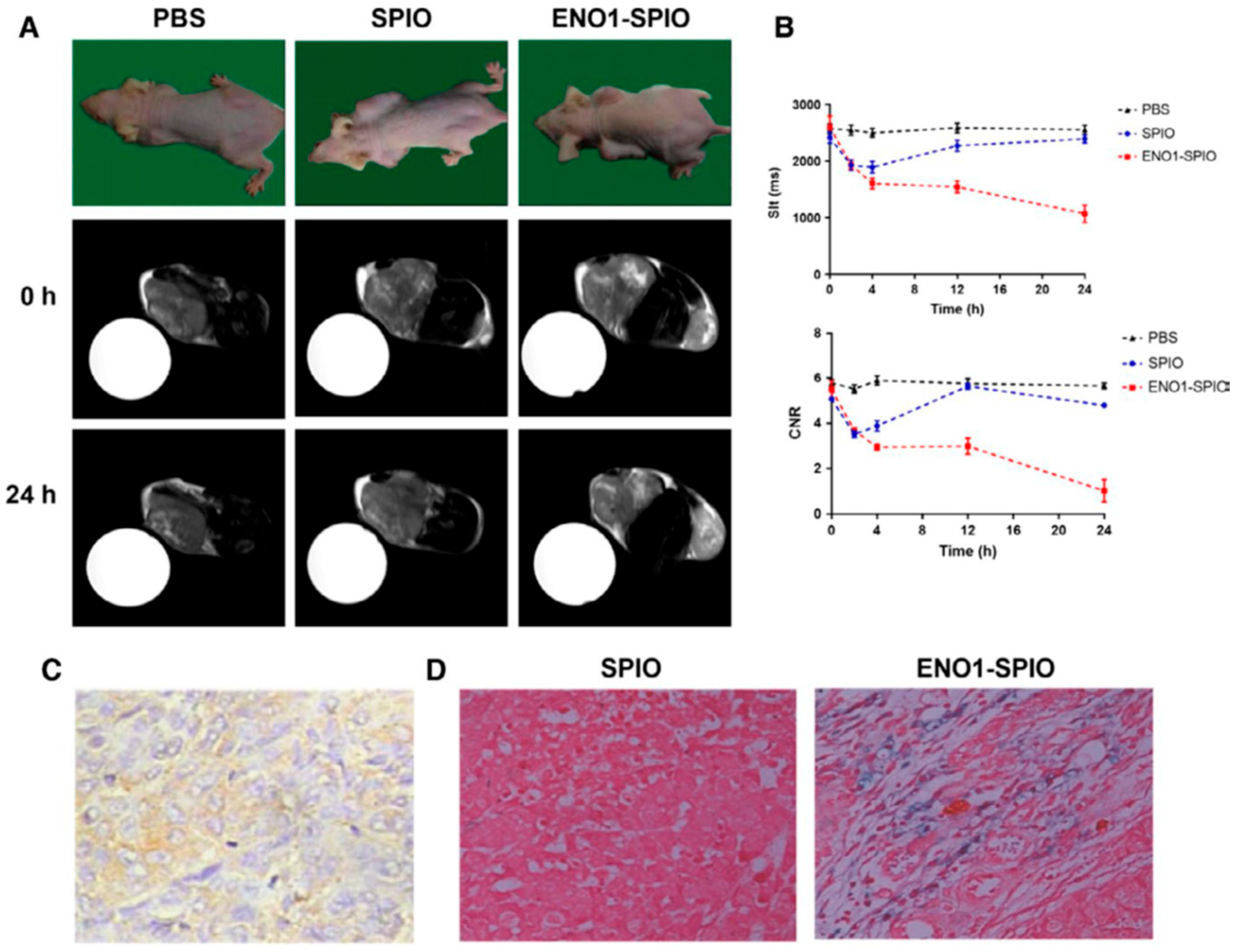 Preprints 166369 g001