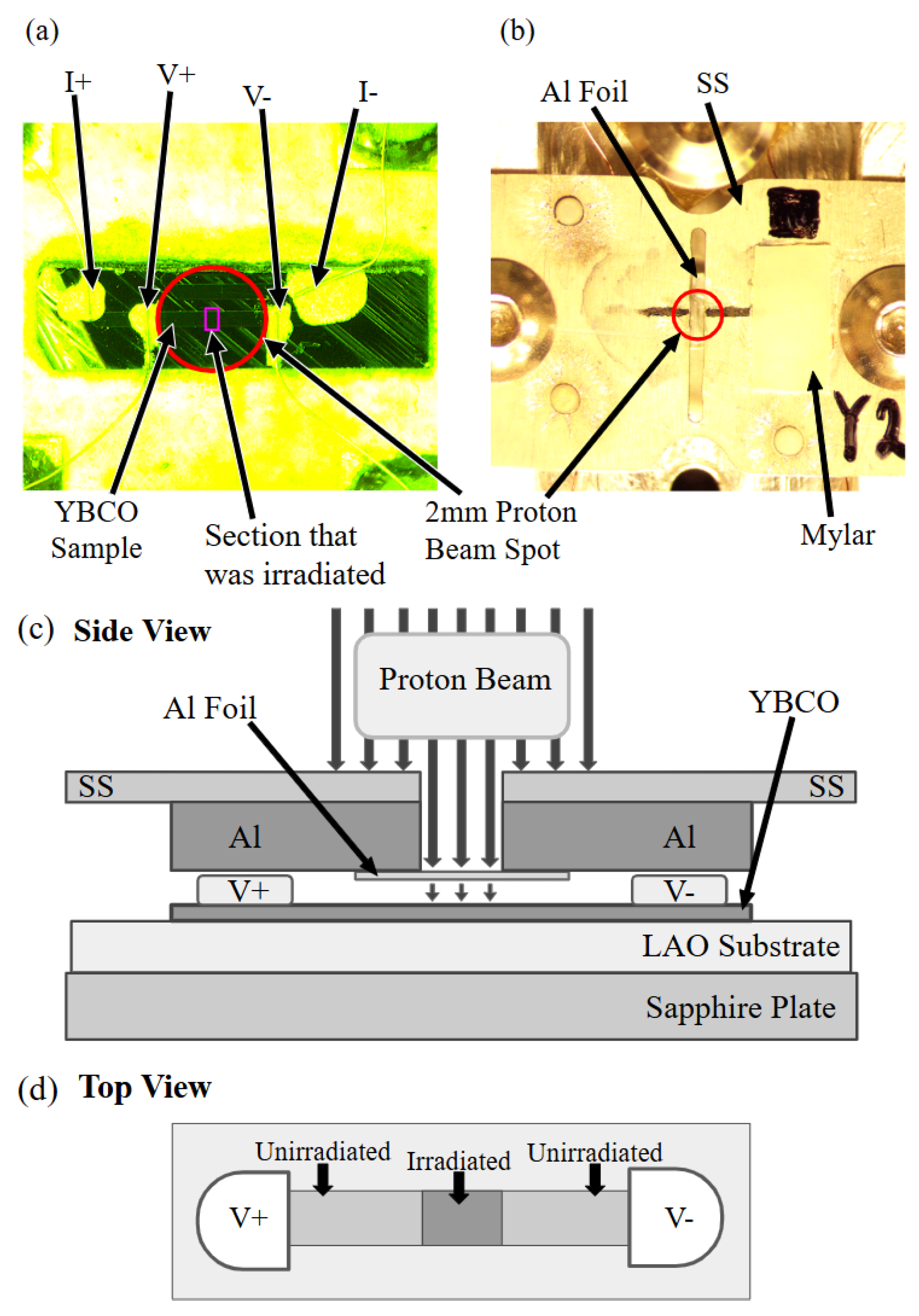 Preprints 174335 g001