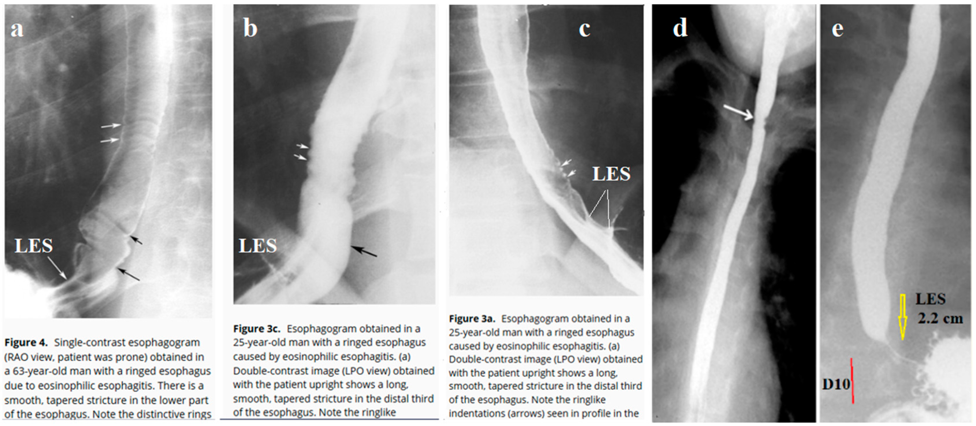 Preprints 147270 g001