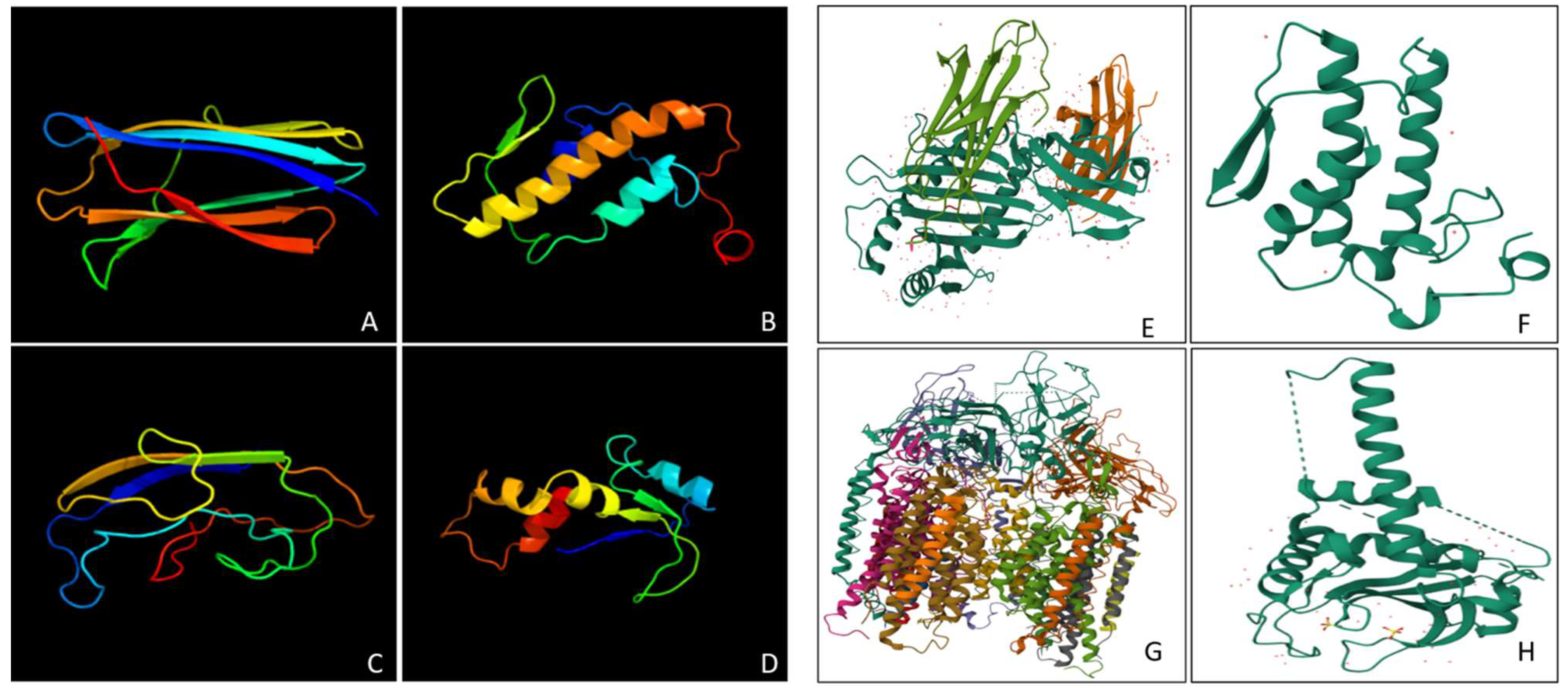 Preprints 142995 g002