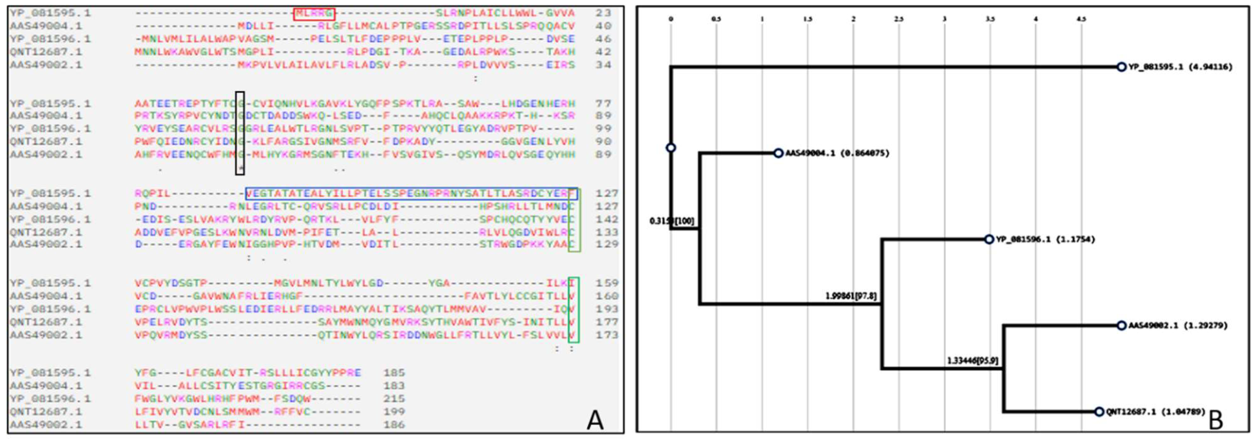 Preprints 142995 g004