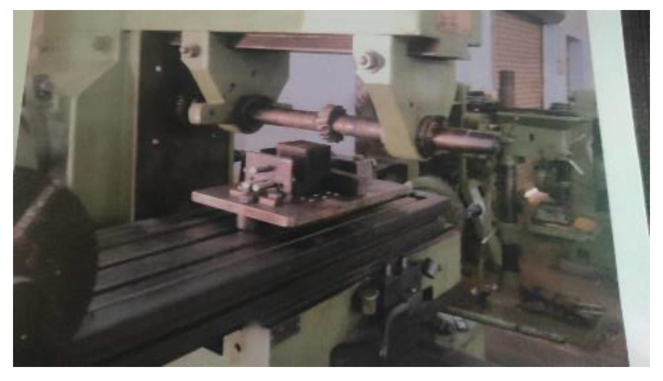 Preprints 100434 g004