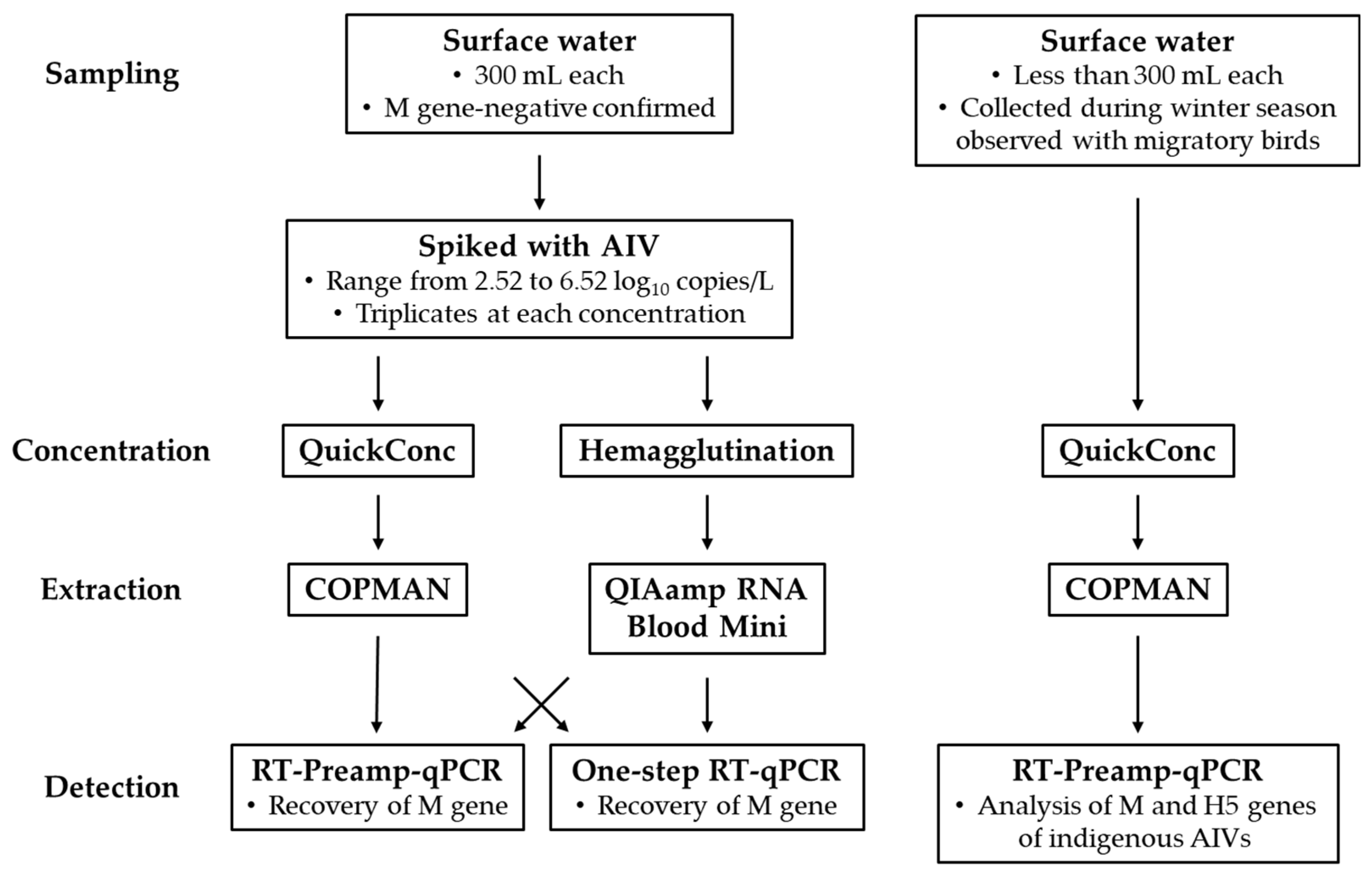 Preprints 153689 g001