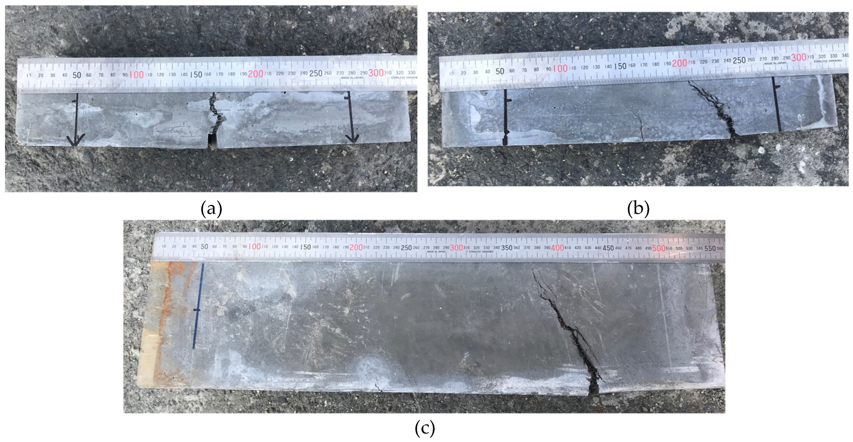 Preprints 187941 g006