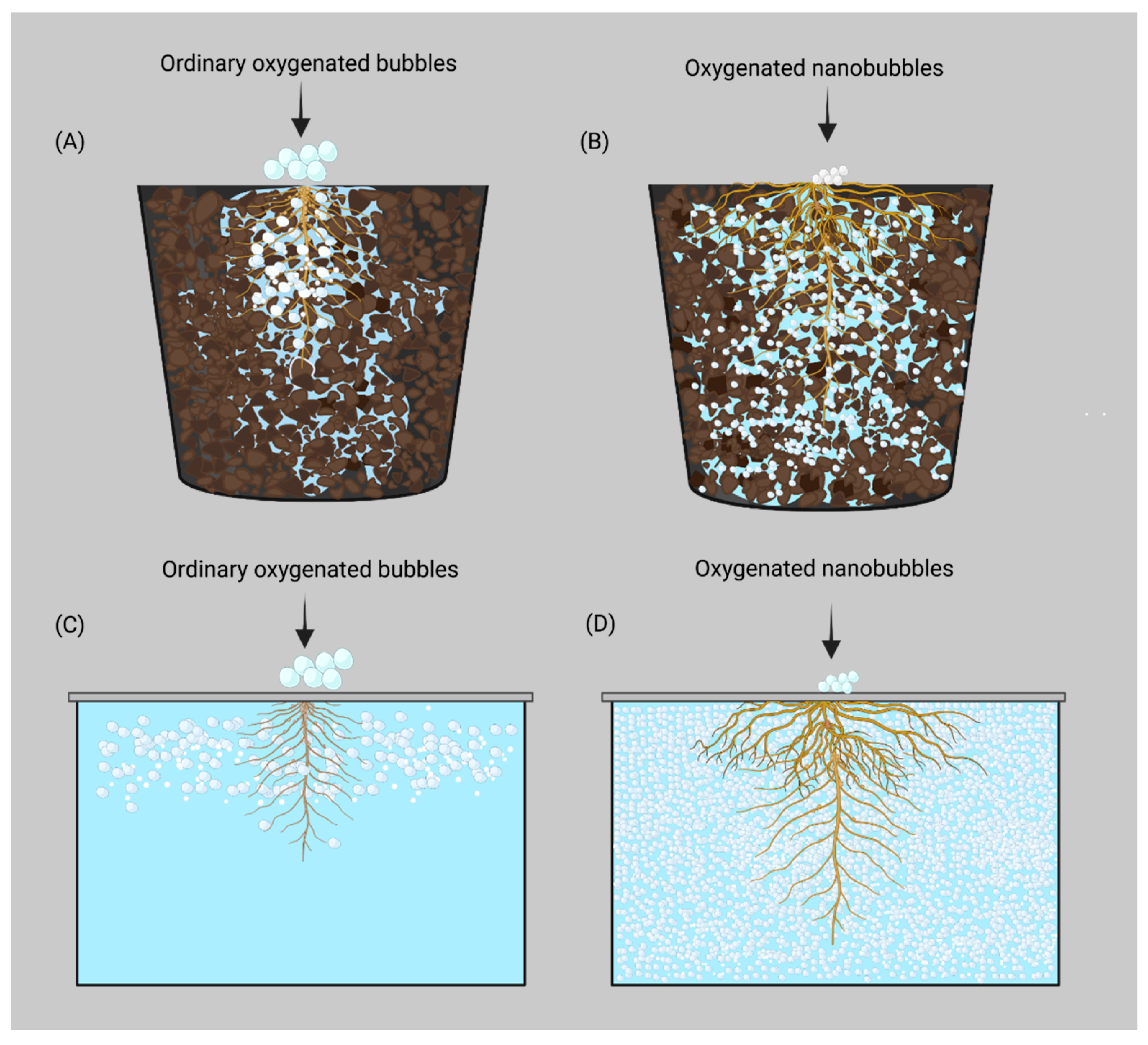 Preprints 155521 g001