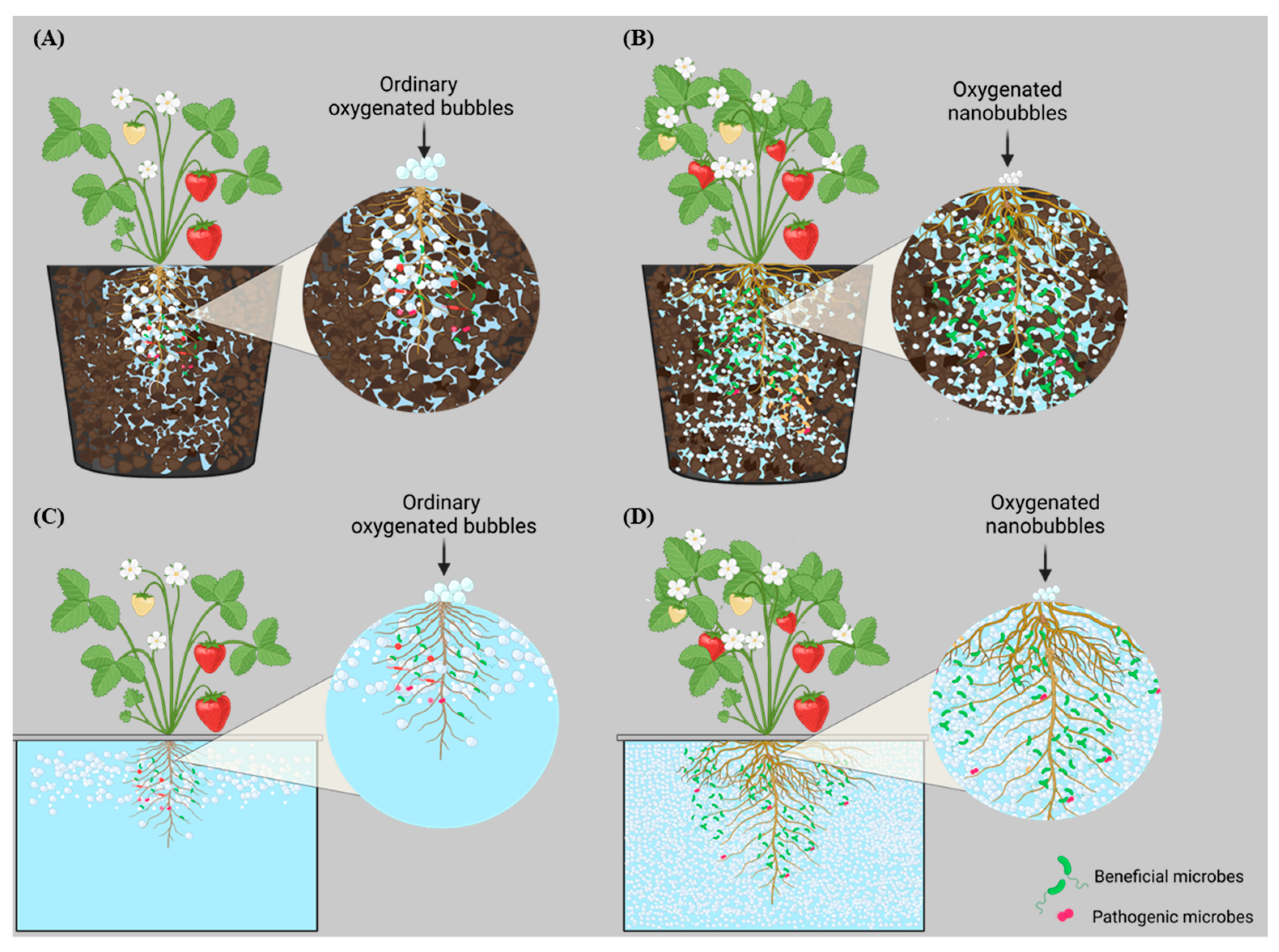Preprints 155521 g002