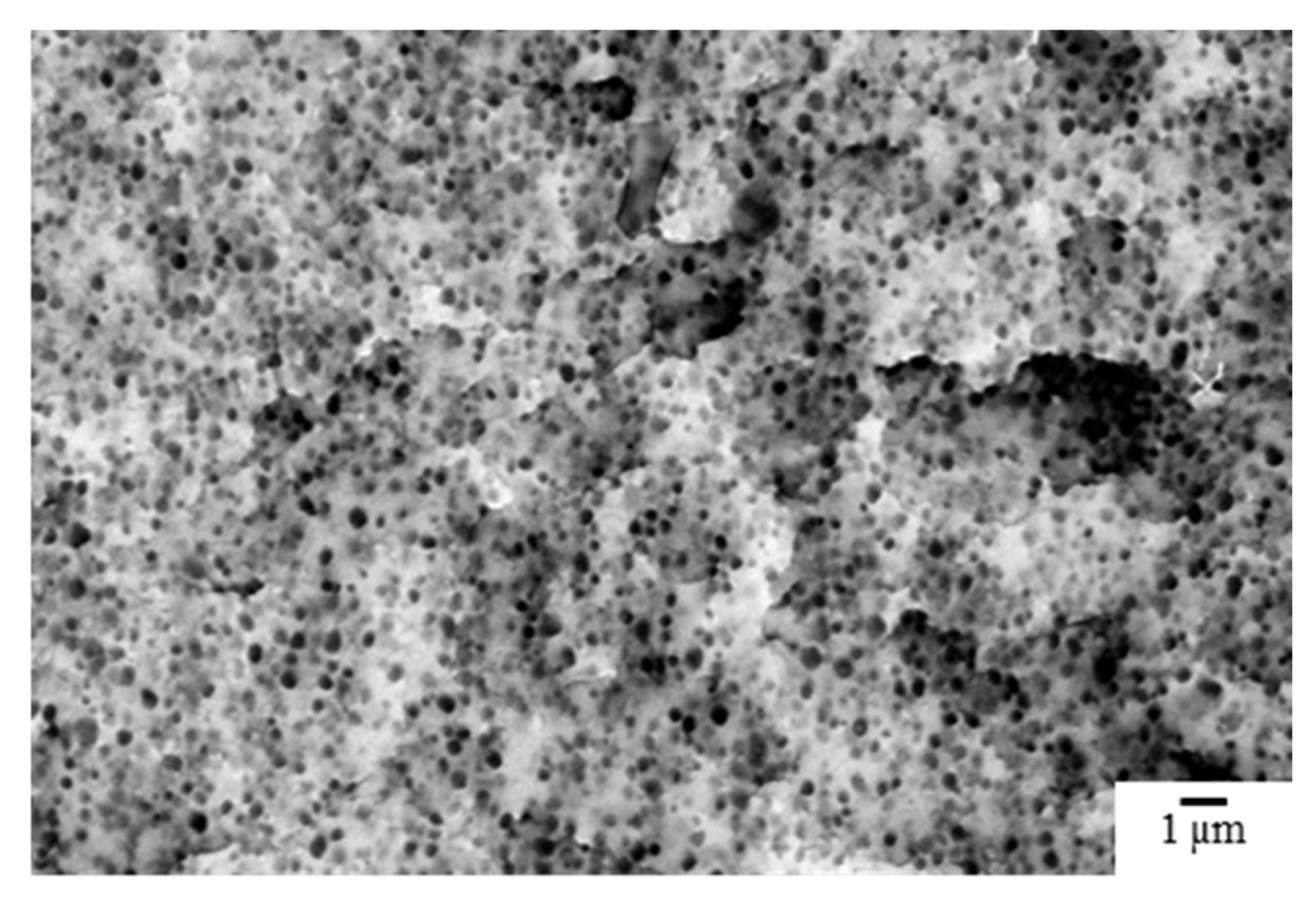 Preprints 212169 g009