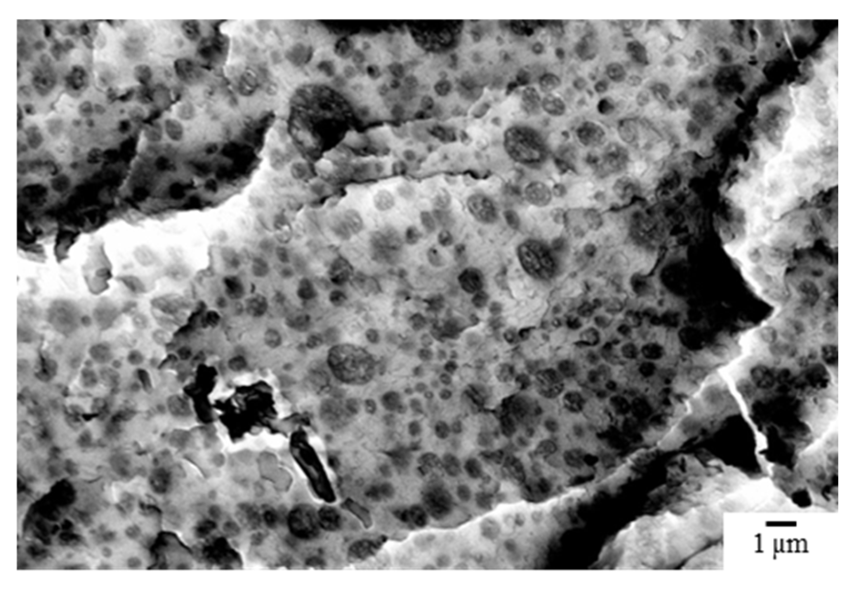 Preprints 212169 g010