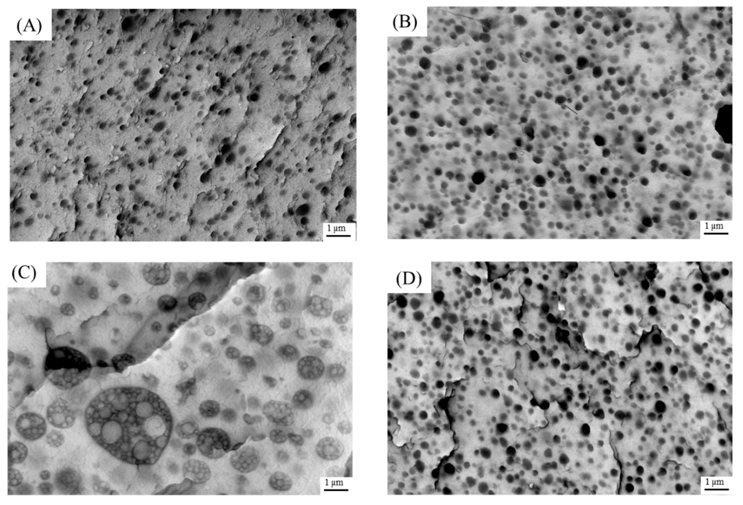 Preprints 212169 g012a