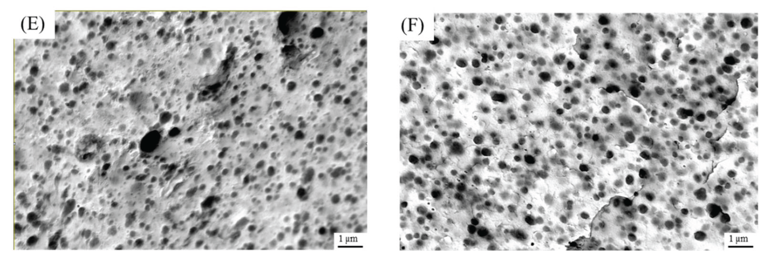 Preprints 212169 g012b