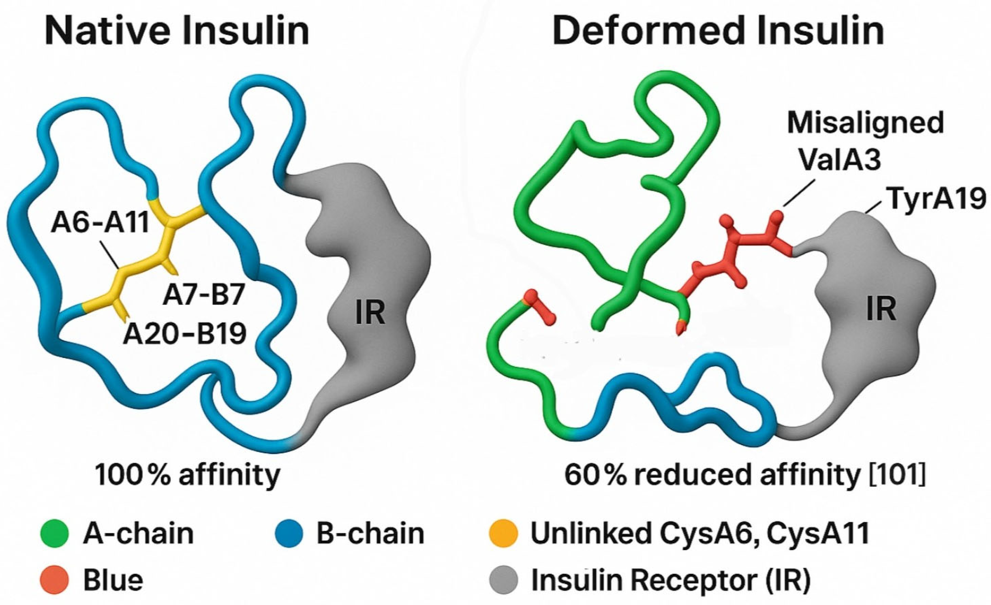 Preprints 169057 g002
