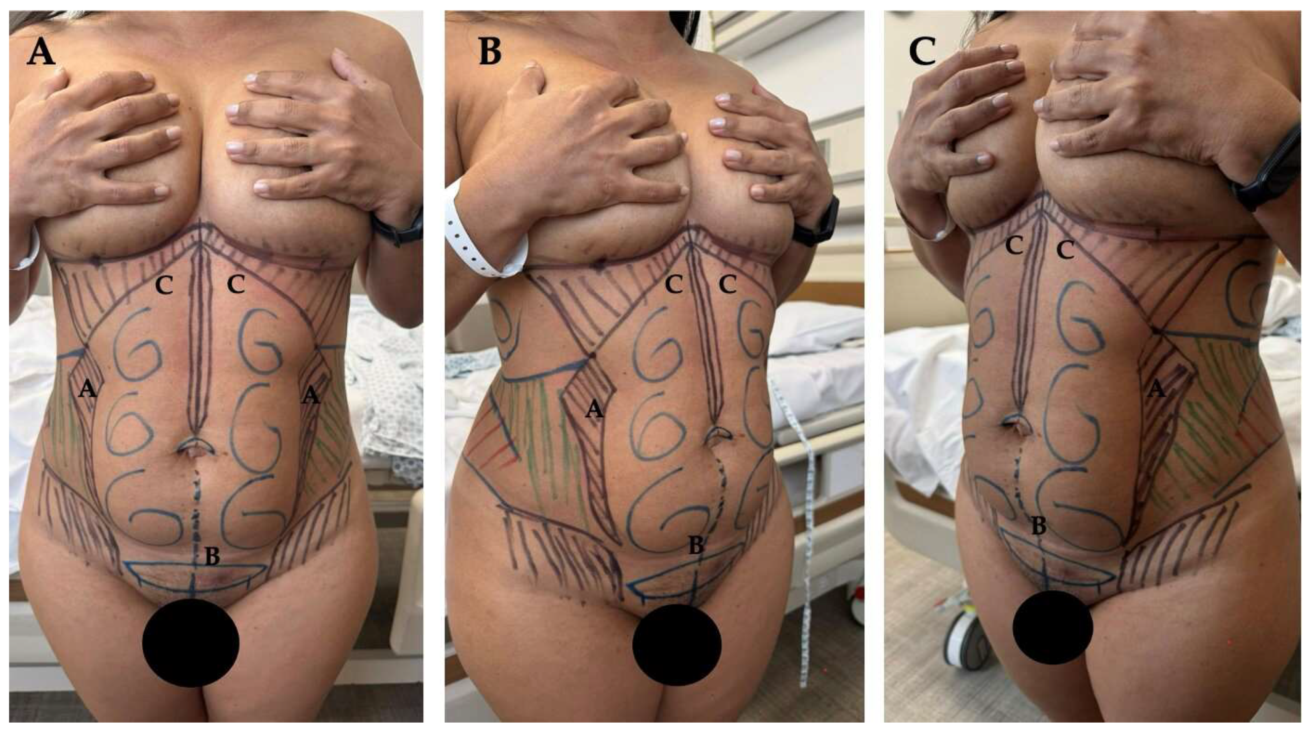 Preprints 159652 g003