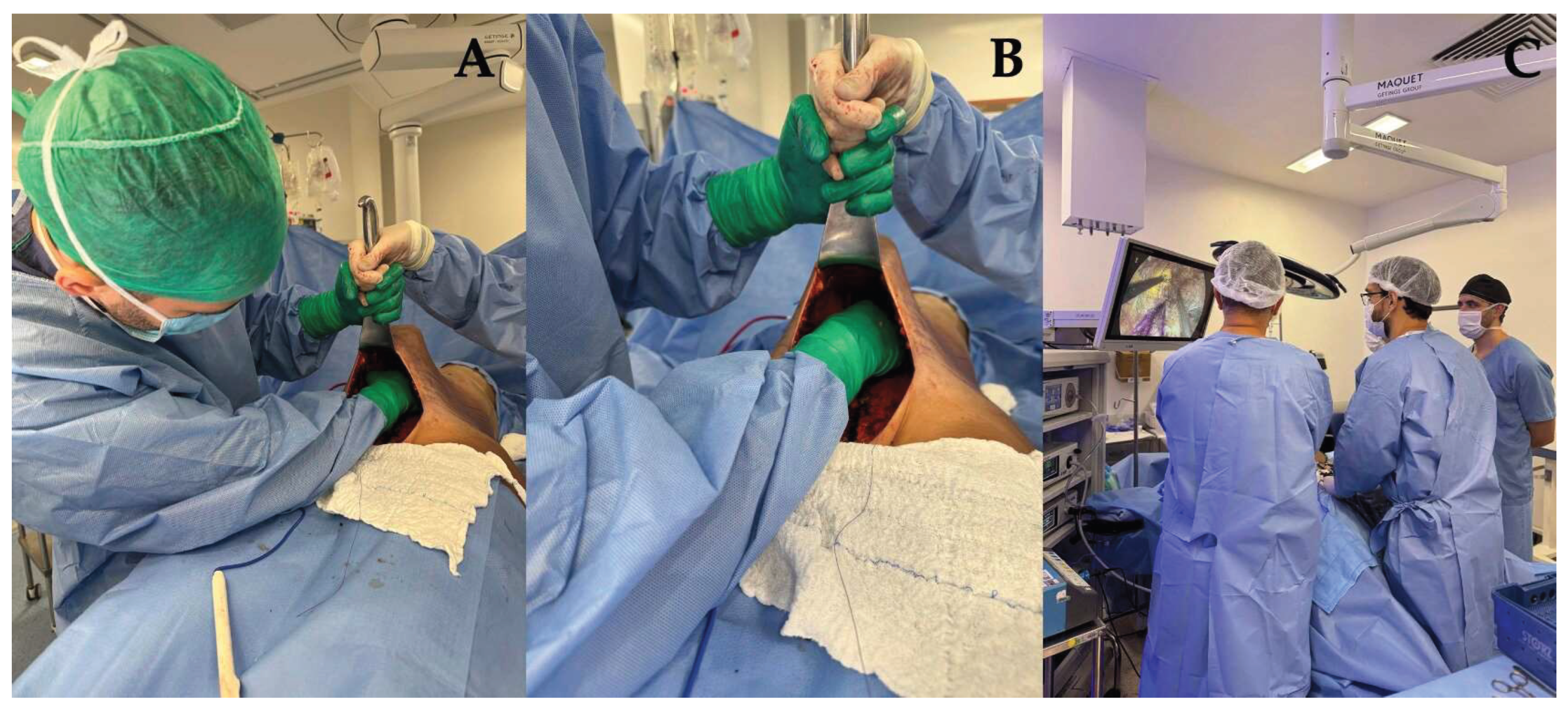 Preprints 159652 g006