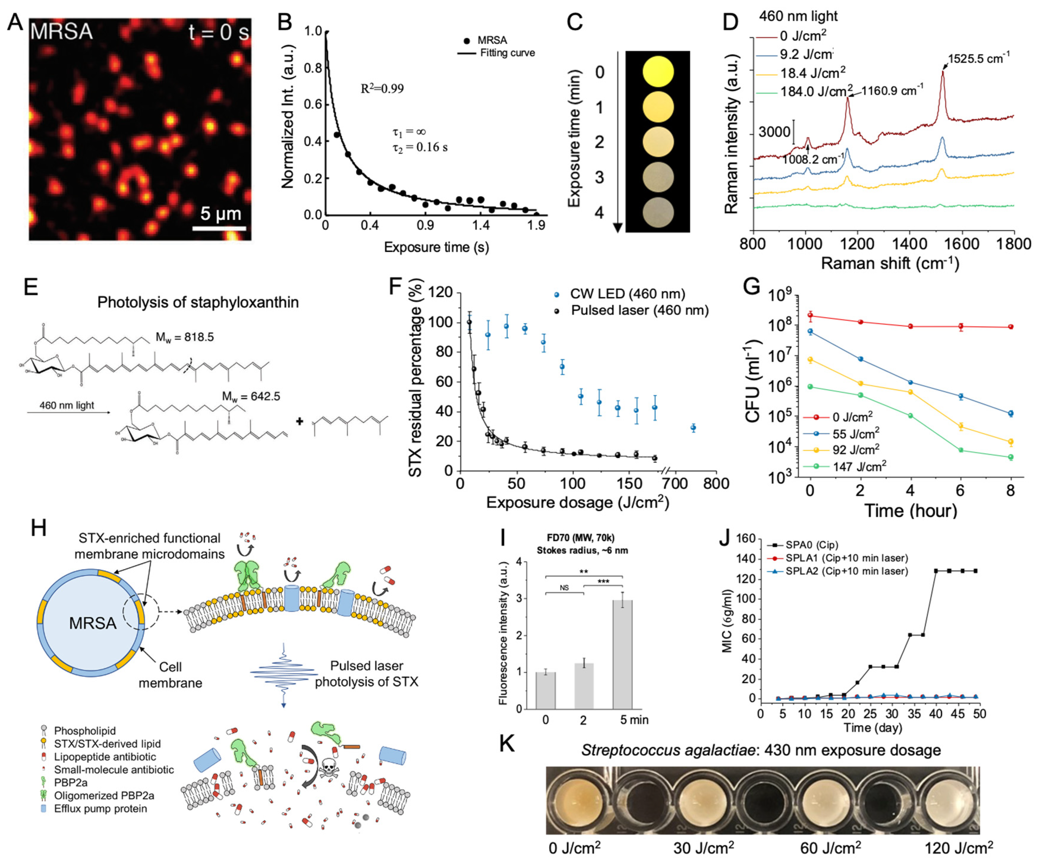 Preprints 86980 g001