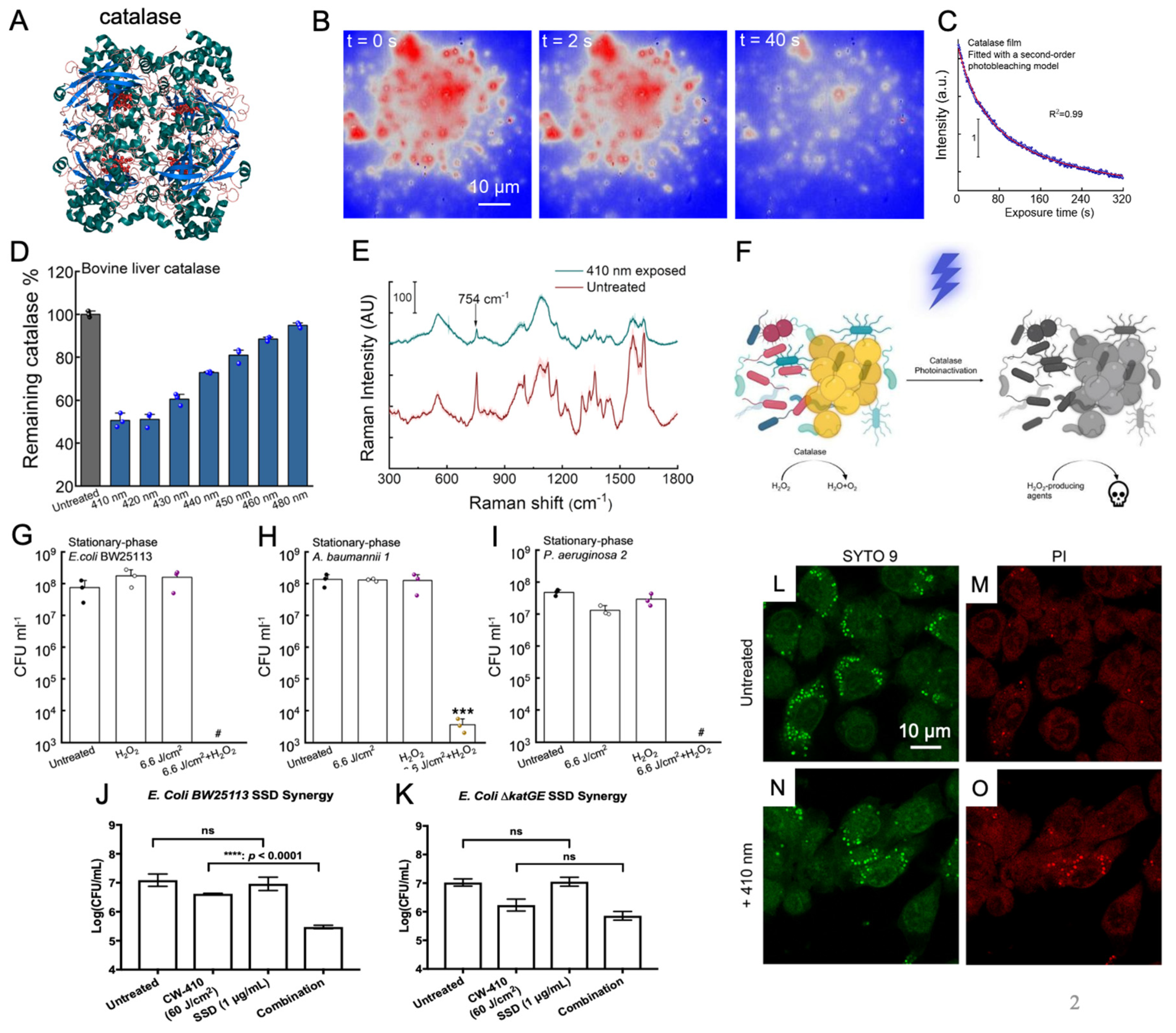 Preprints 86980 g002