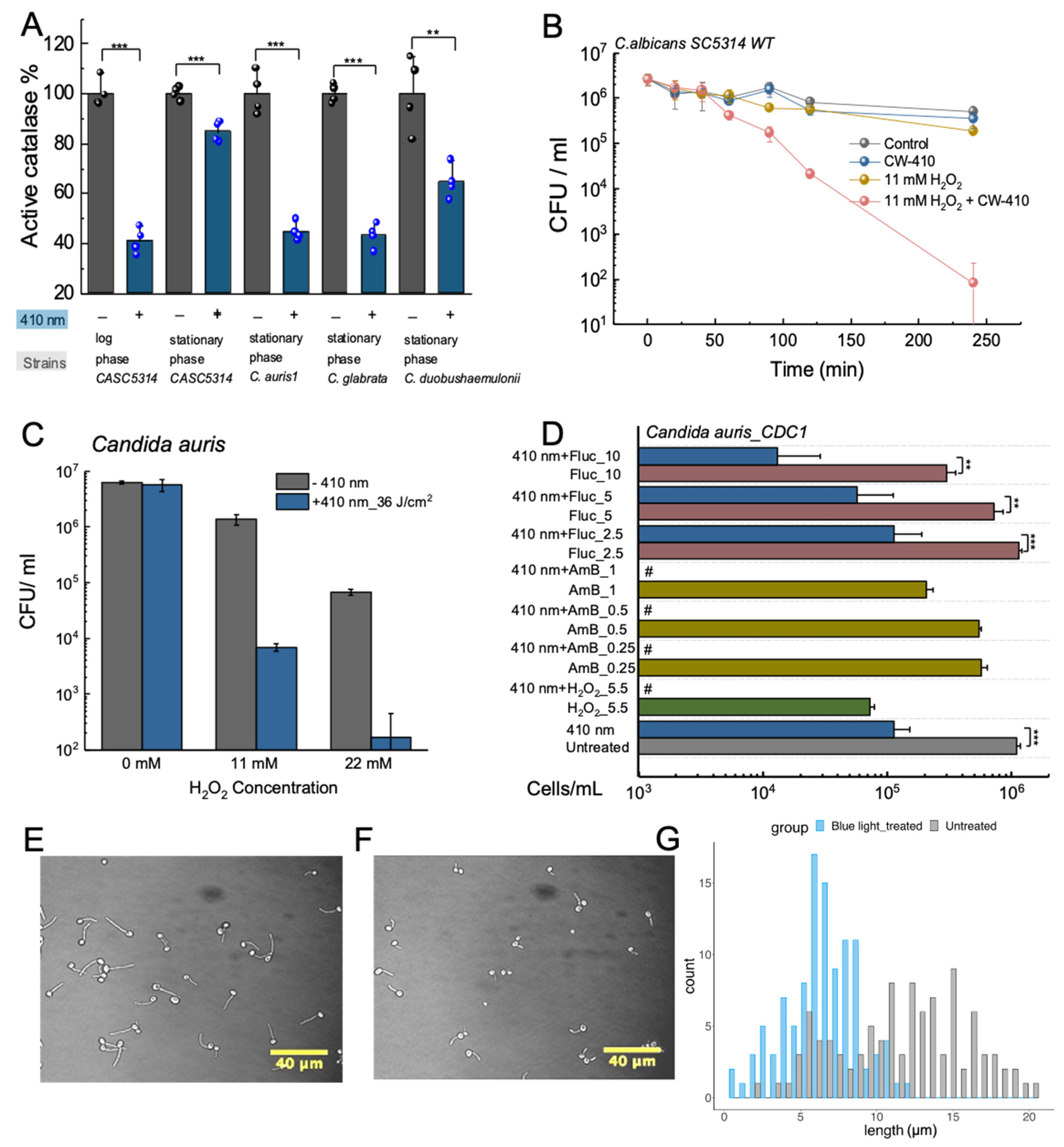 Preprints 86980 g003