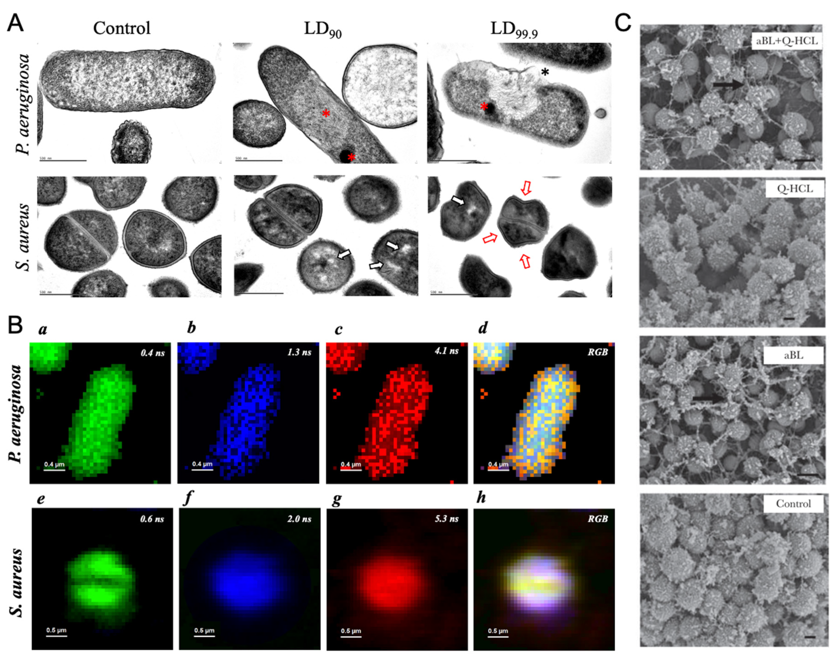 Preprints 86980 g004