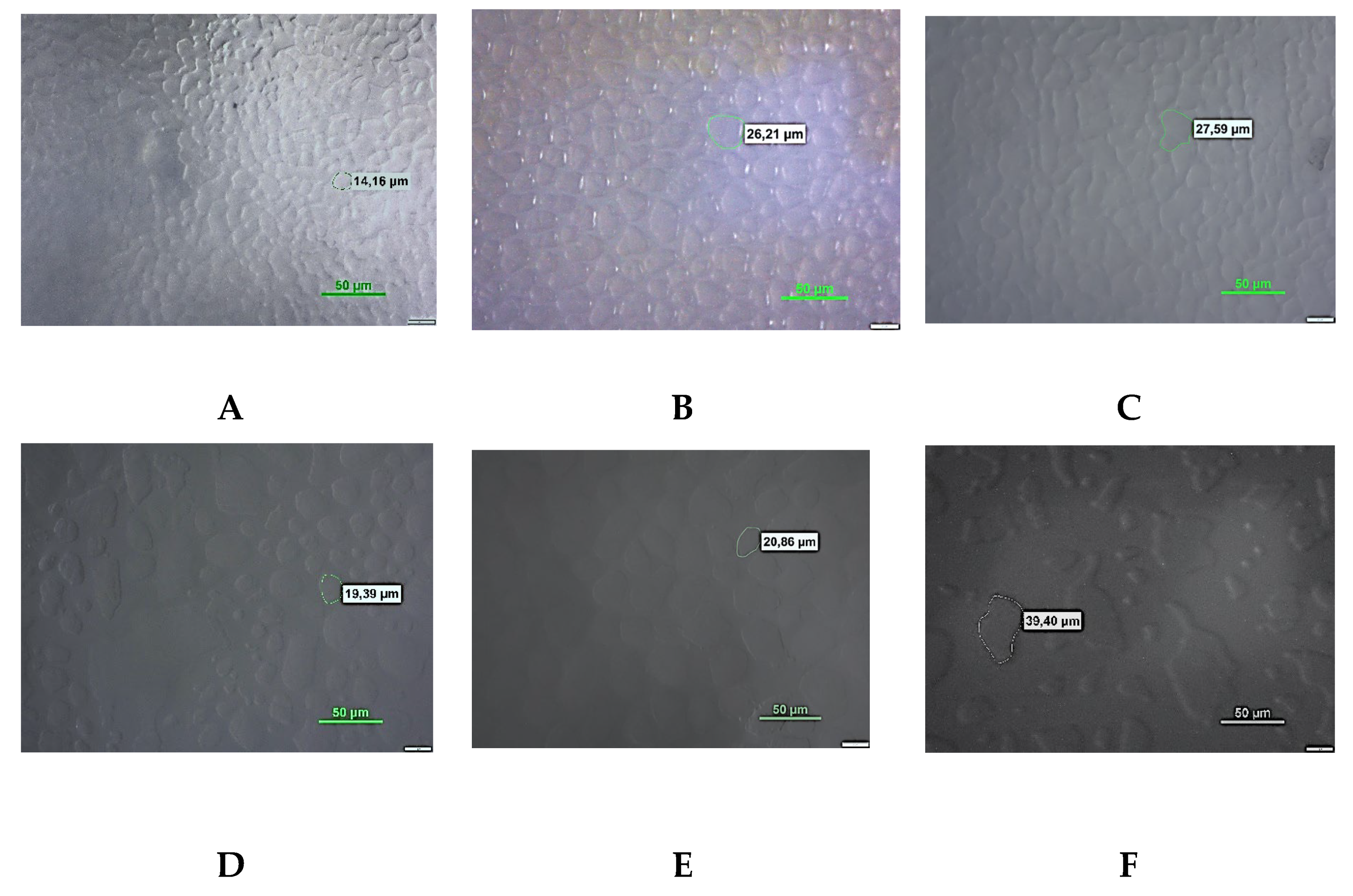 Preprints 161010 g002a