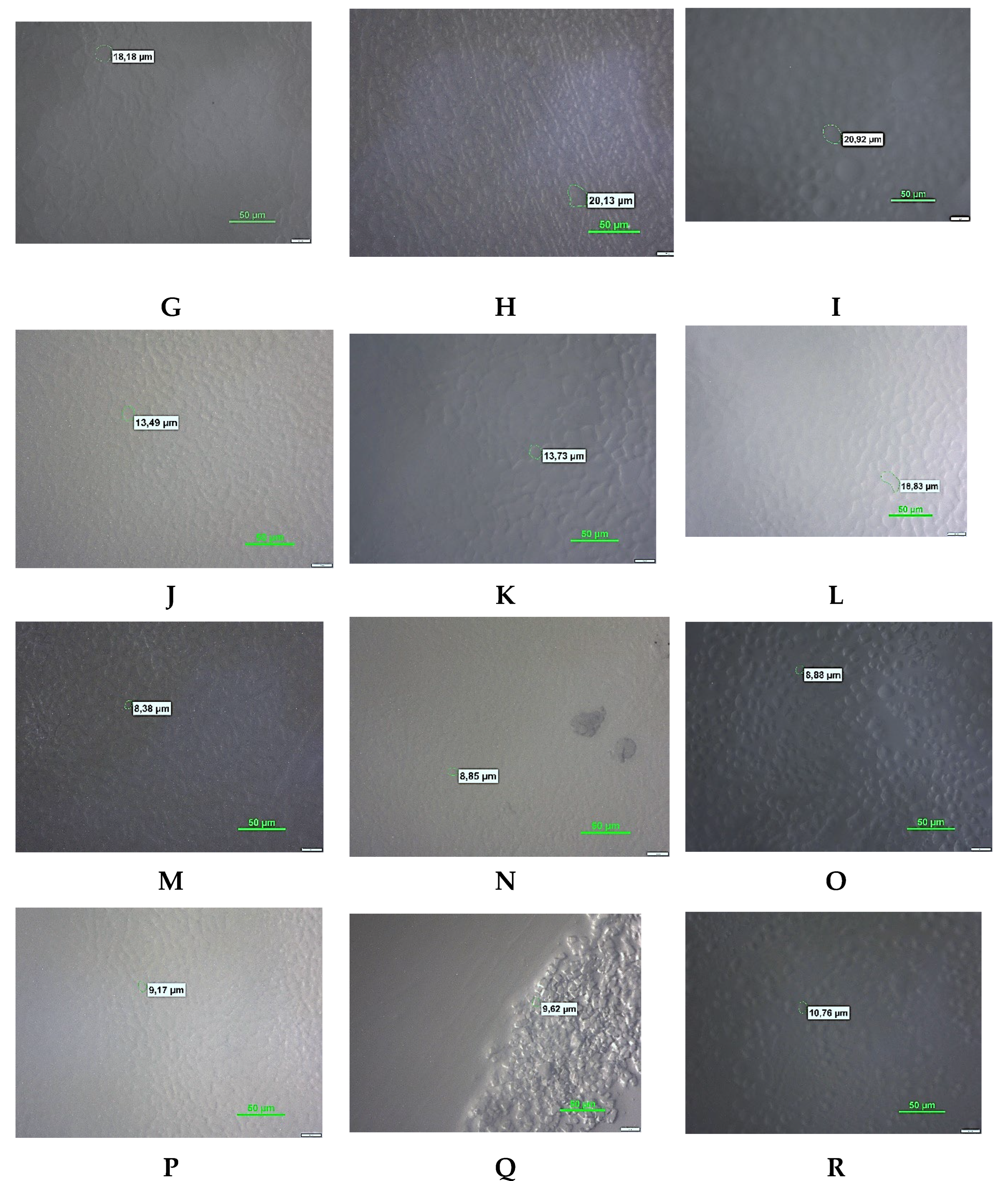 Preprints 161010 g002b