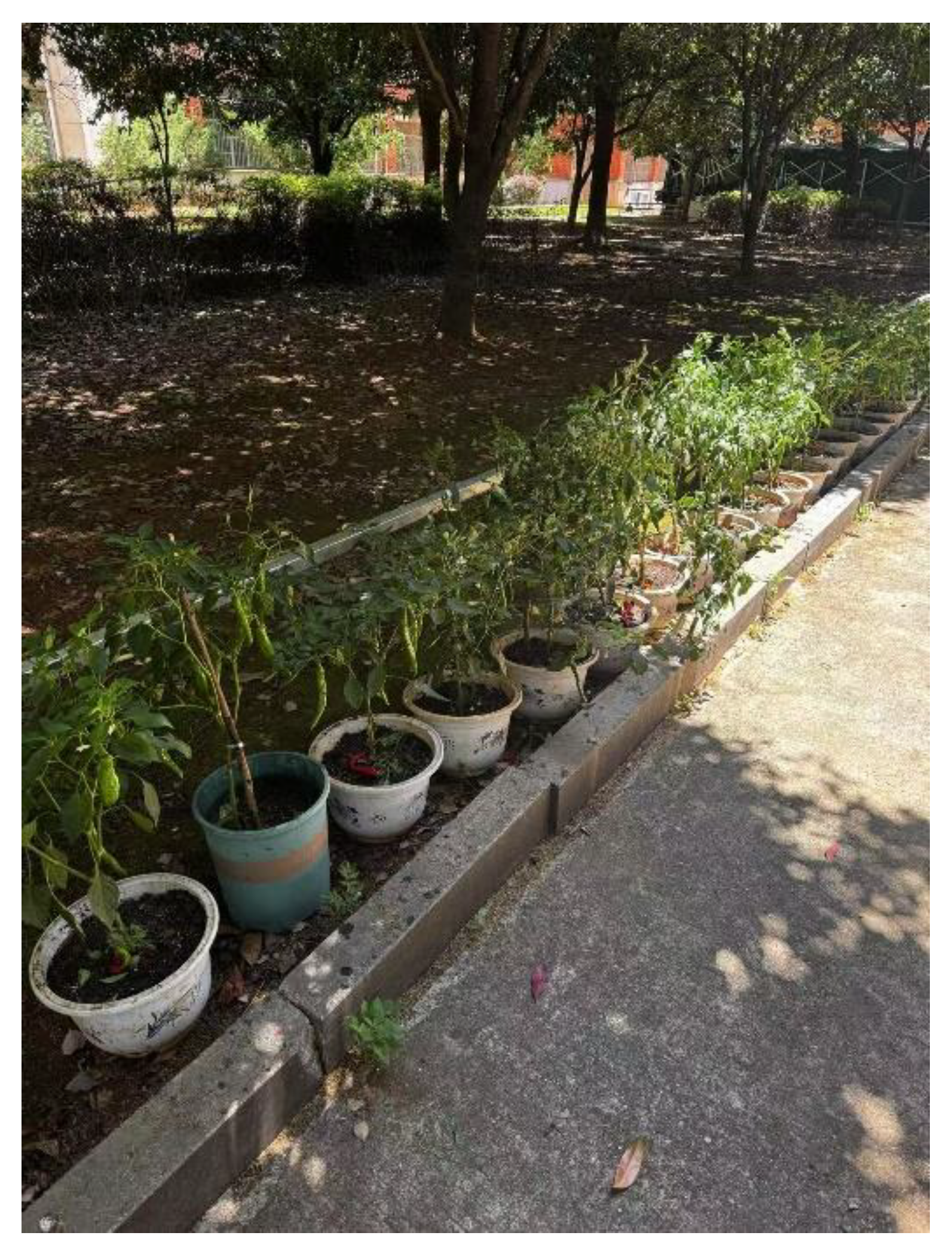 Preprints 201005 g003