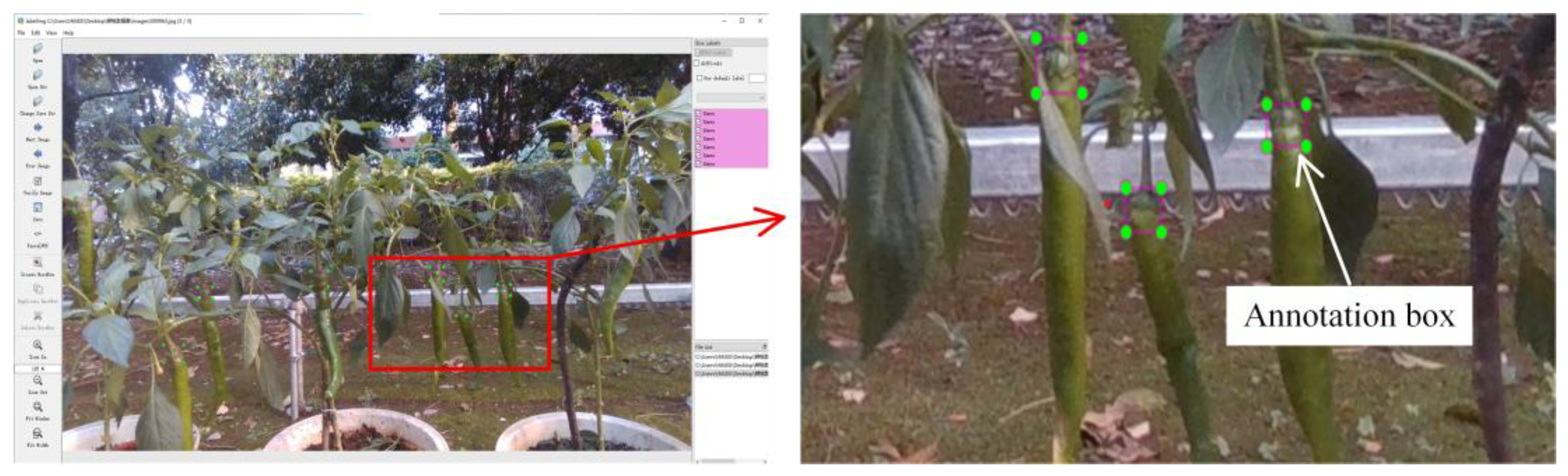 Preprints 201005 g005