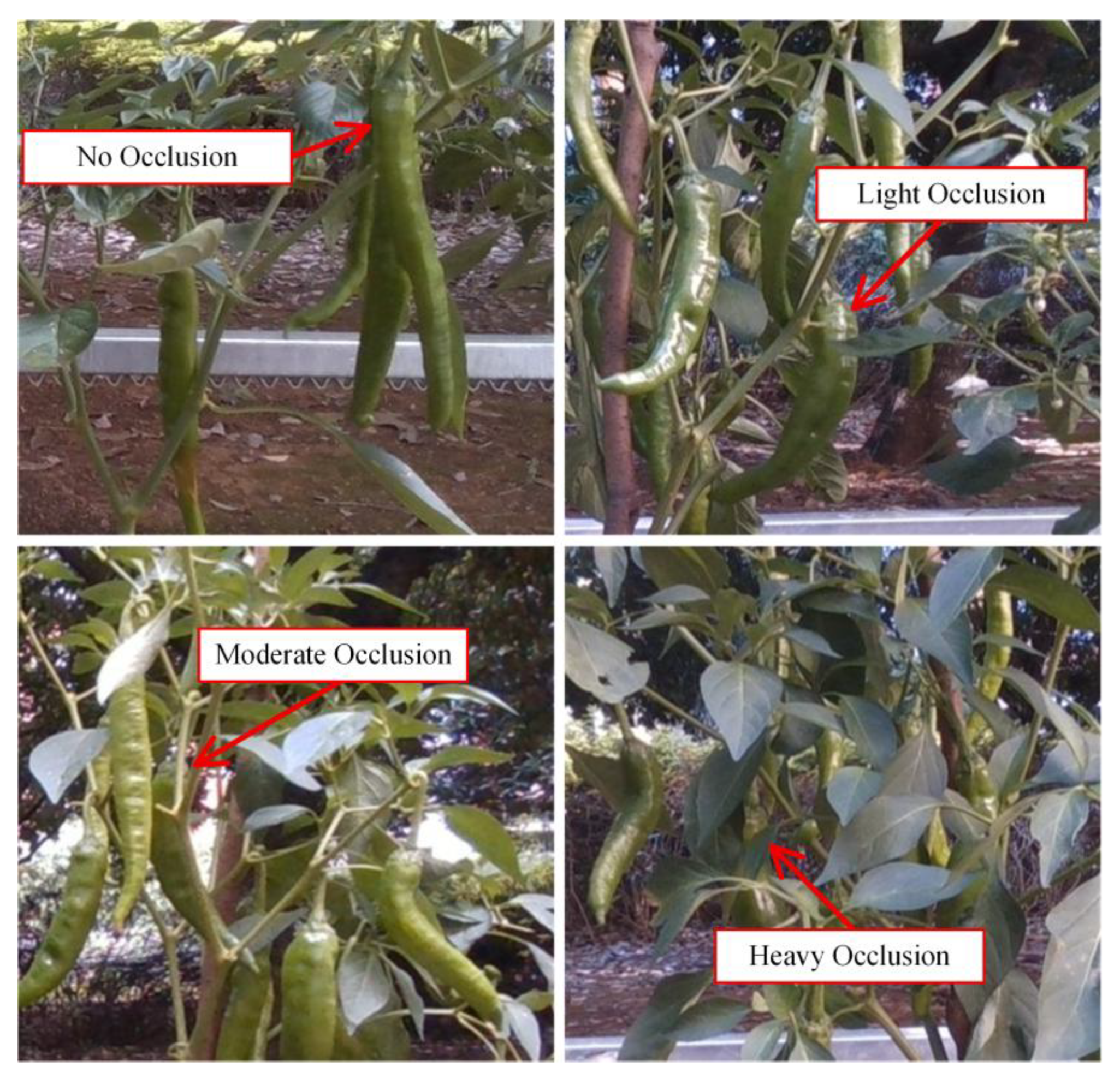 Preprints 201005 g006