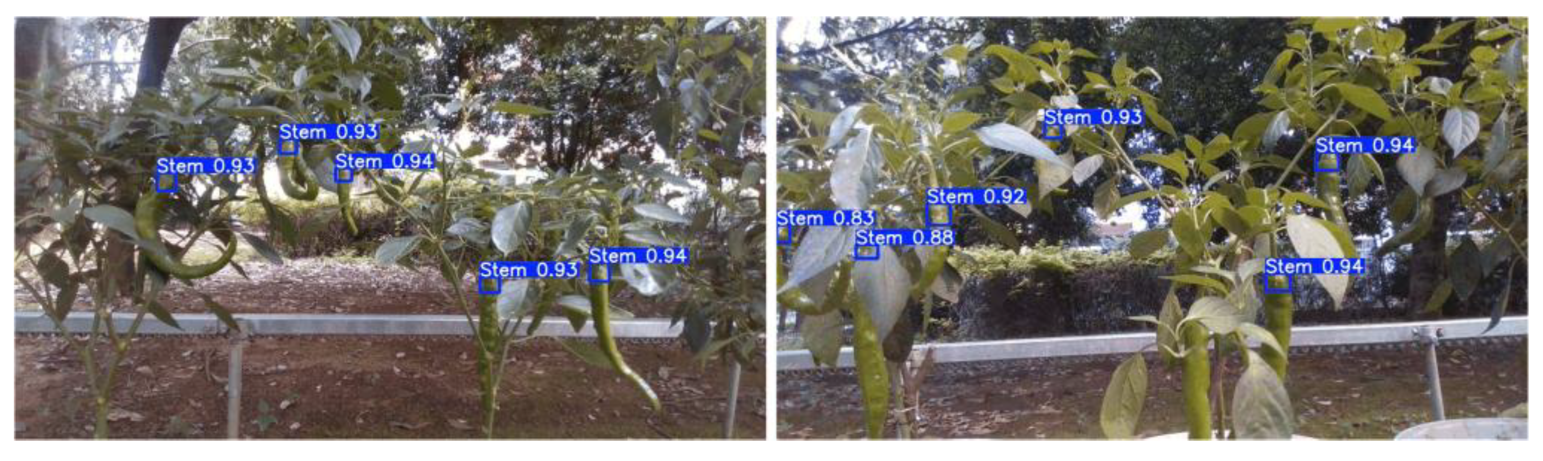 Preprints 201005 g007