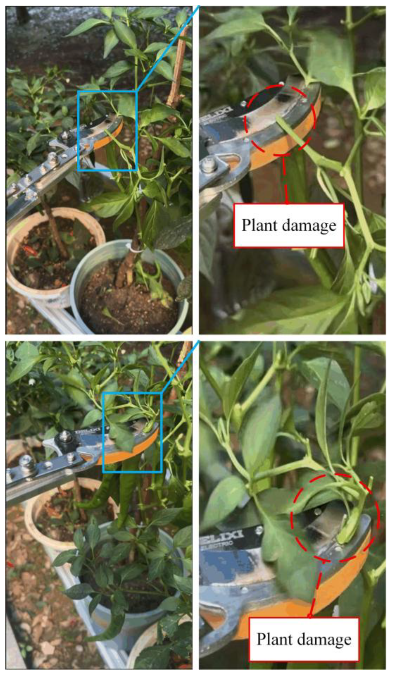 Preprints 201005 g018