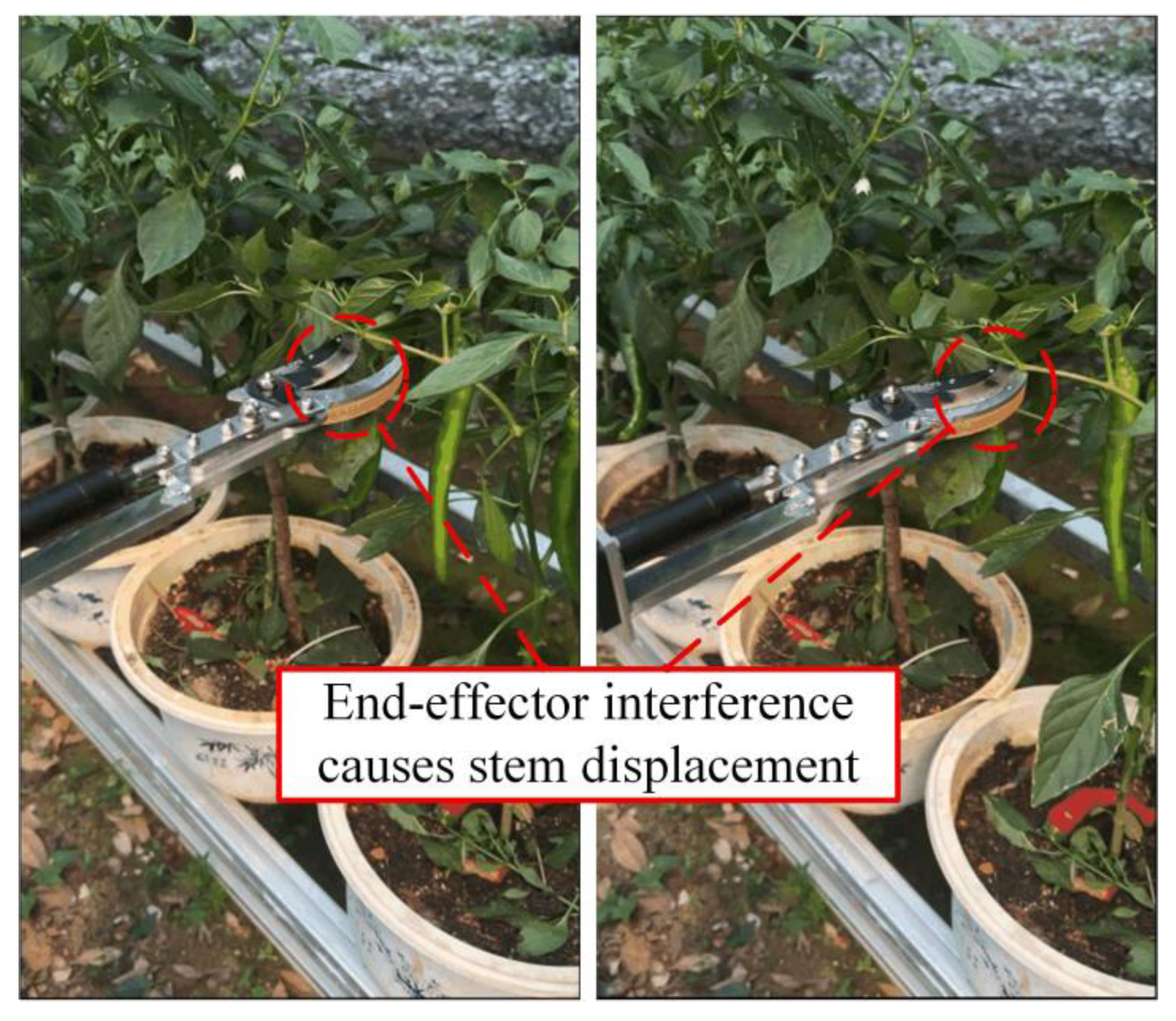 Preprints 201005 g019