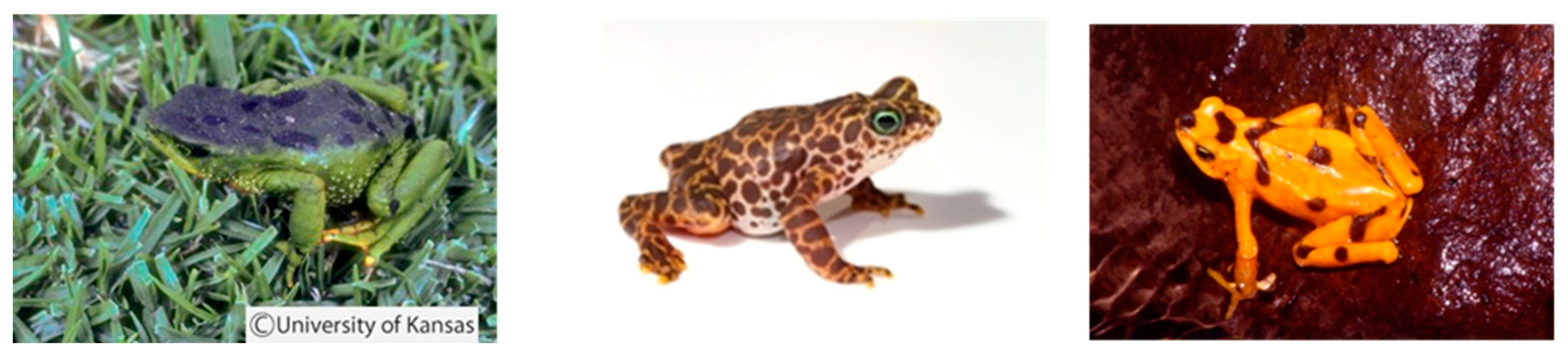 Preprints 118266 g003