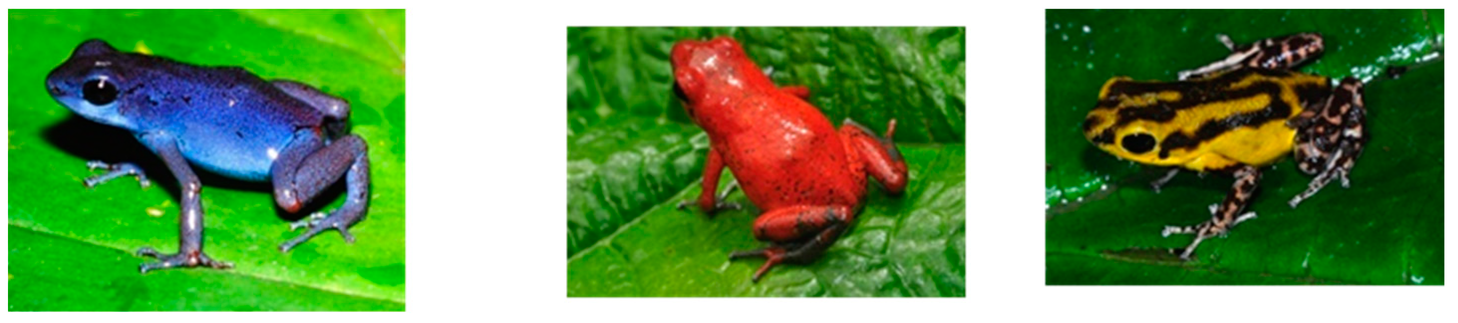 Preprints 118266 g005