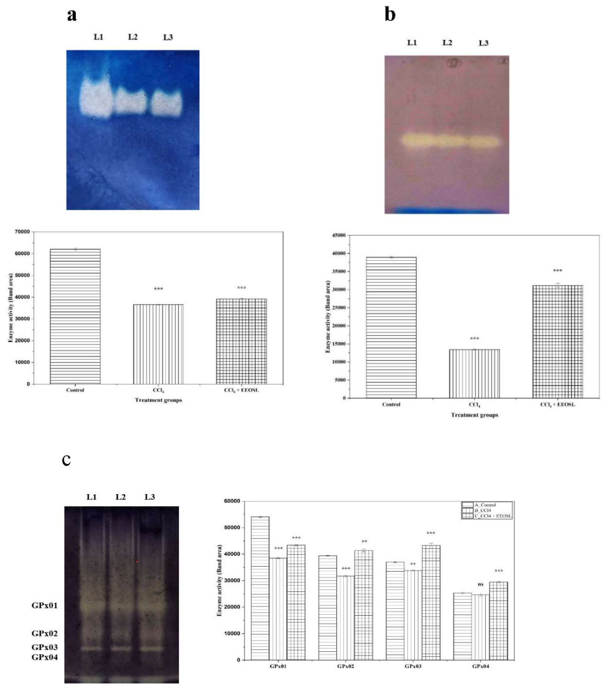 Preprints 221453 g005 Preprints 221453 g005
