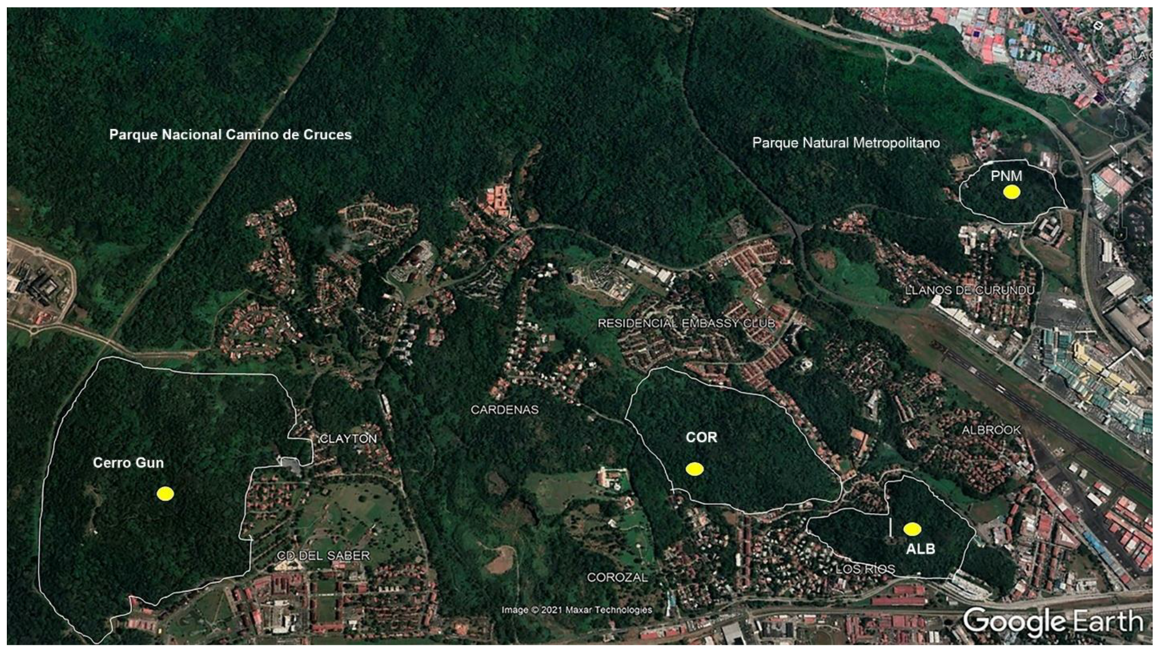 Preprints 161341 g001