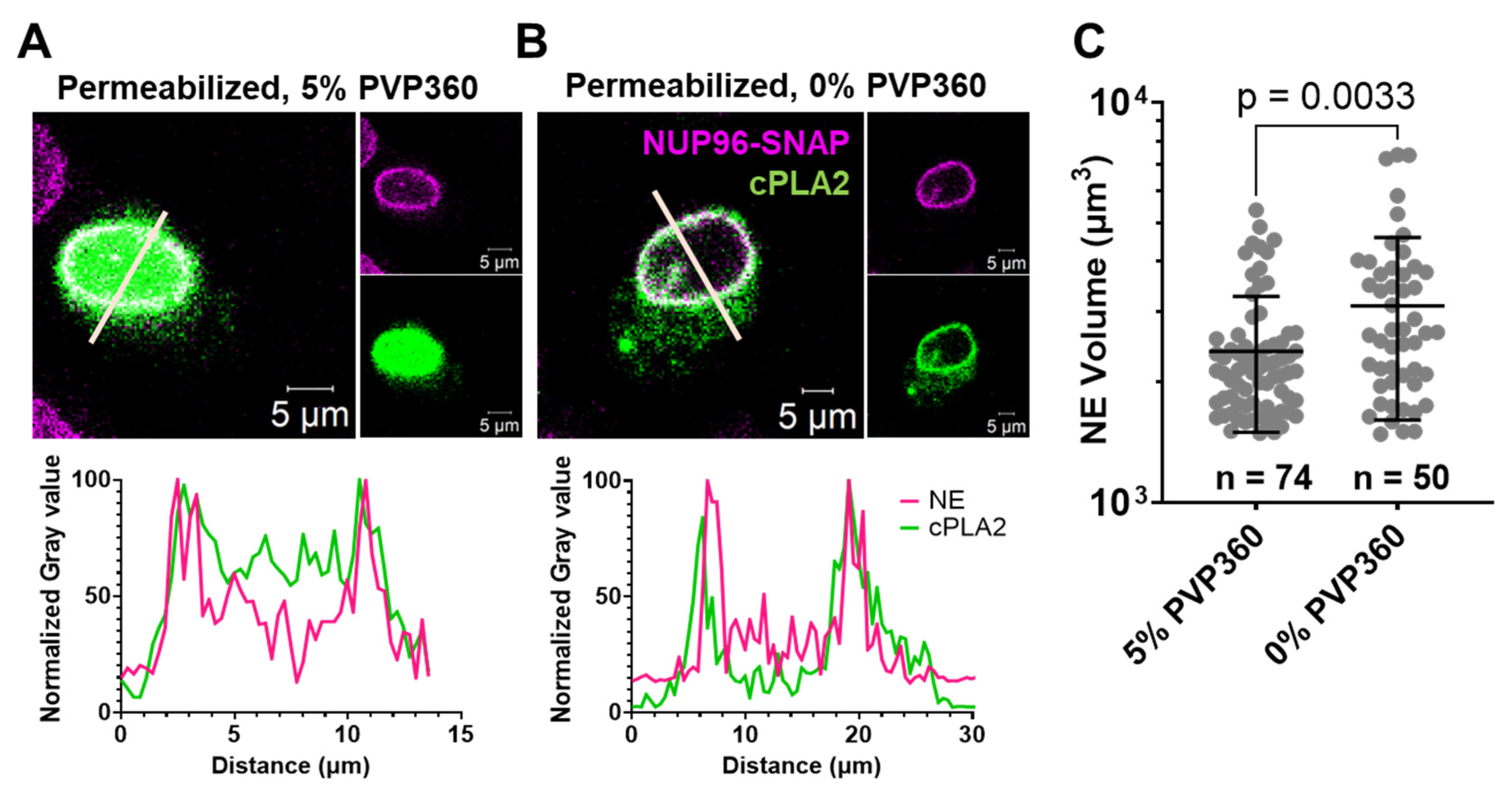 Preprints 187032 g004