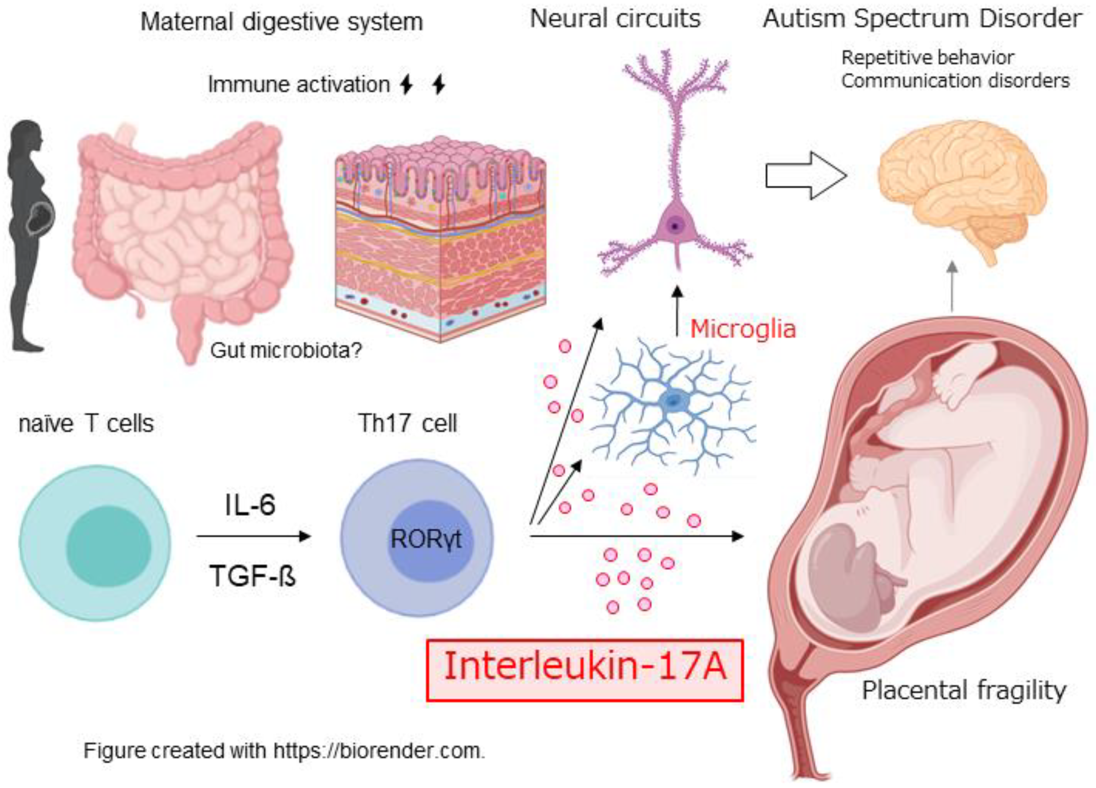 Preprints 173641 g001